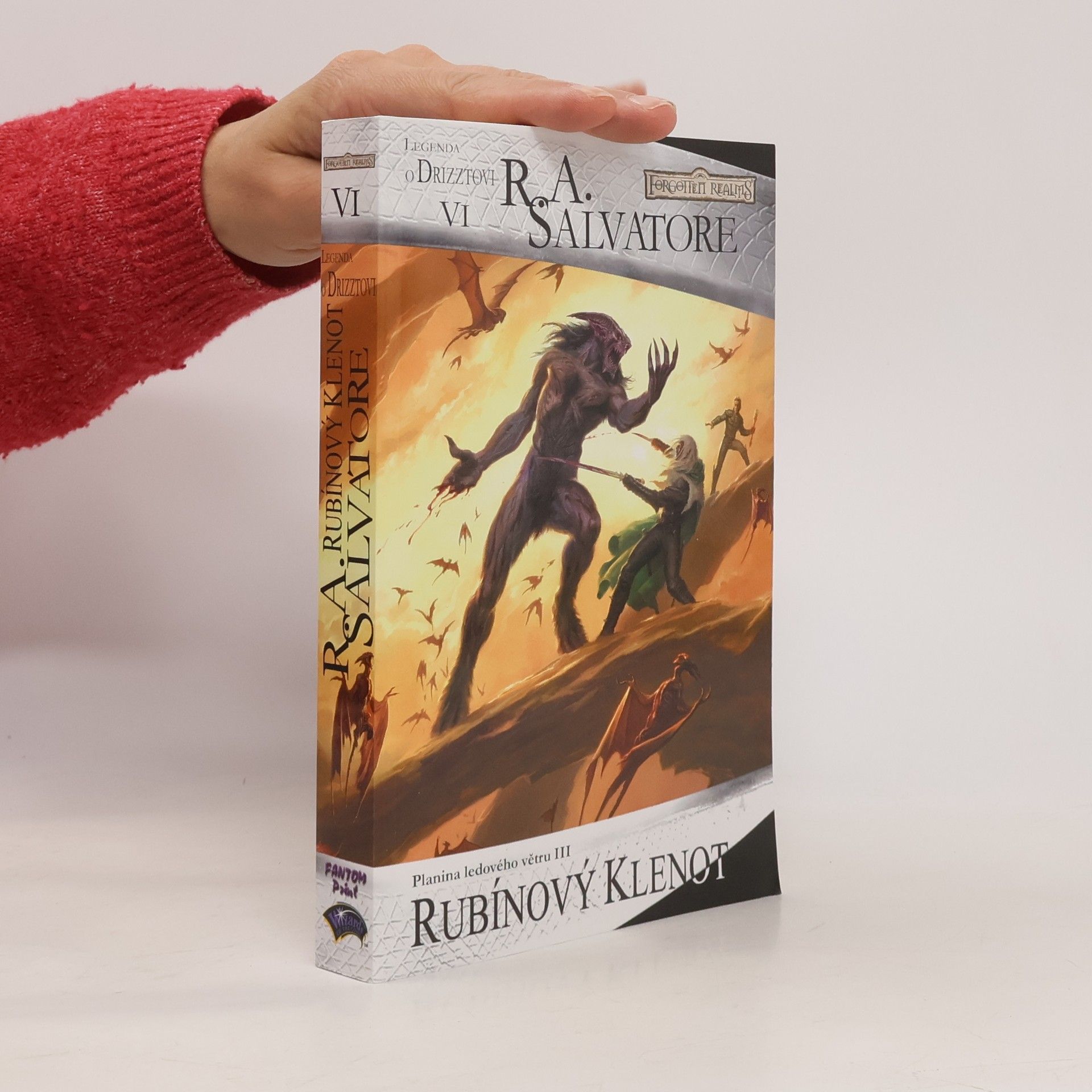 Planina ledového větru III. Rubínový klenot