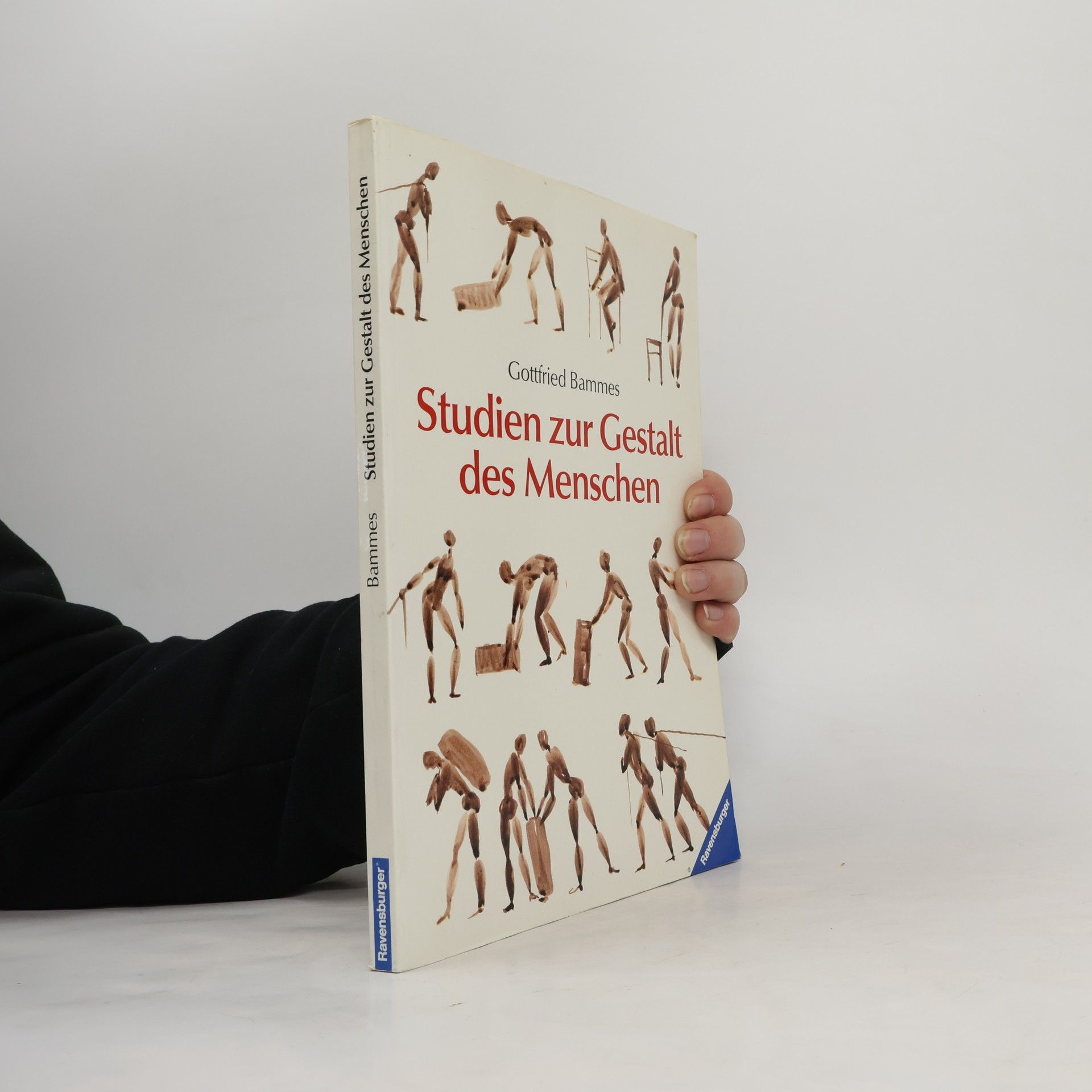 Gottfried Bammes Studien zur Gestalt des Menschen