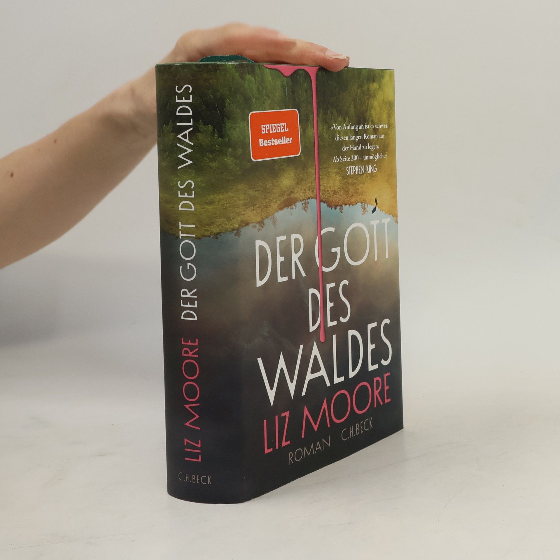 Liz Moore Der Gott des Waldes
