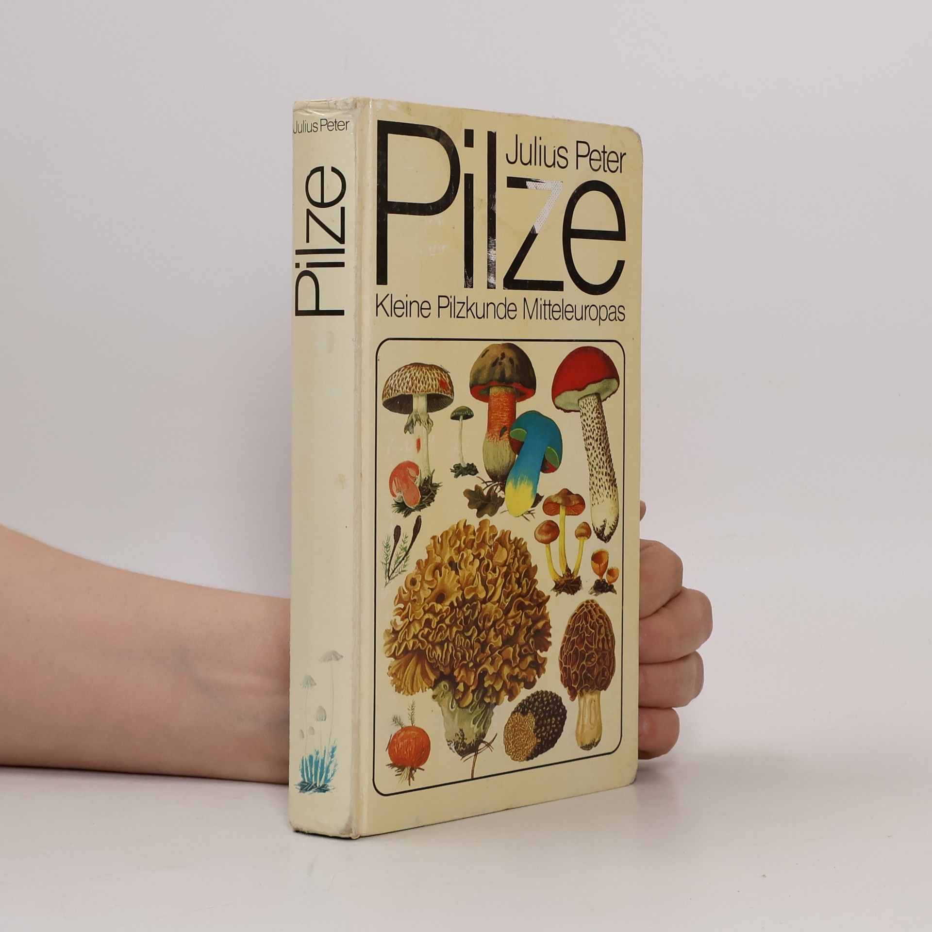 Pilze