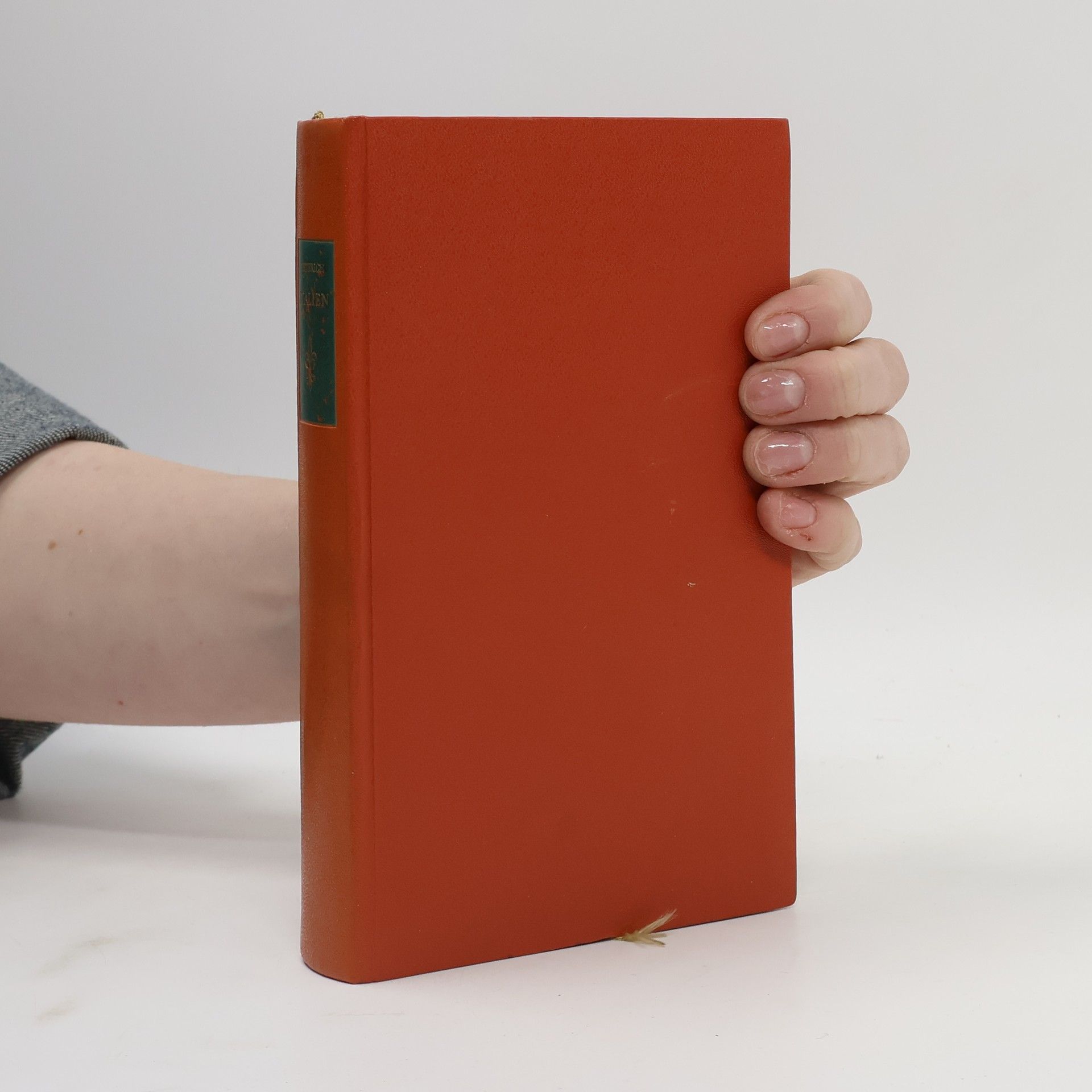 Eckart Peterich Italien: Ein Führer