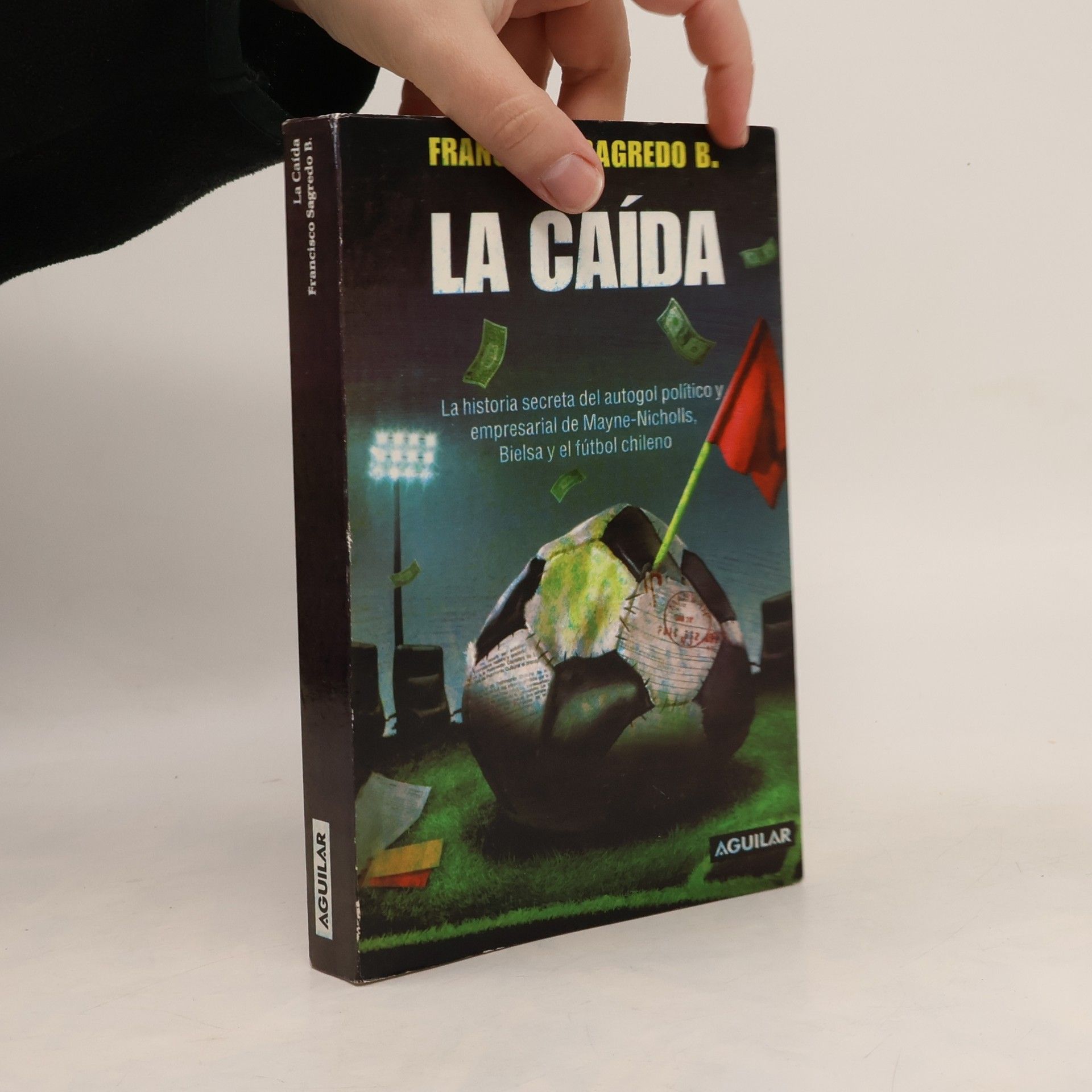 Francisco Sagredo Baeza La caída