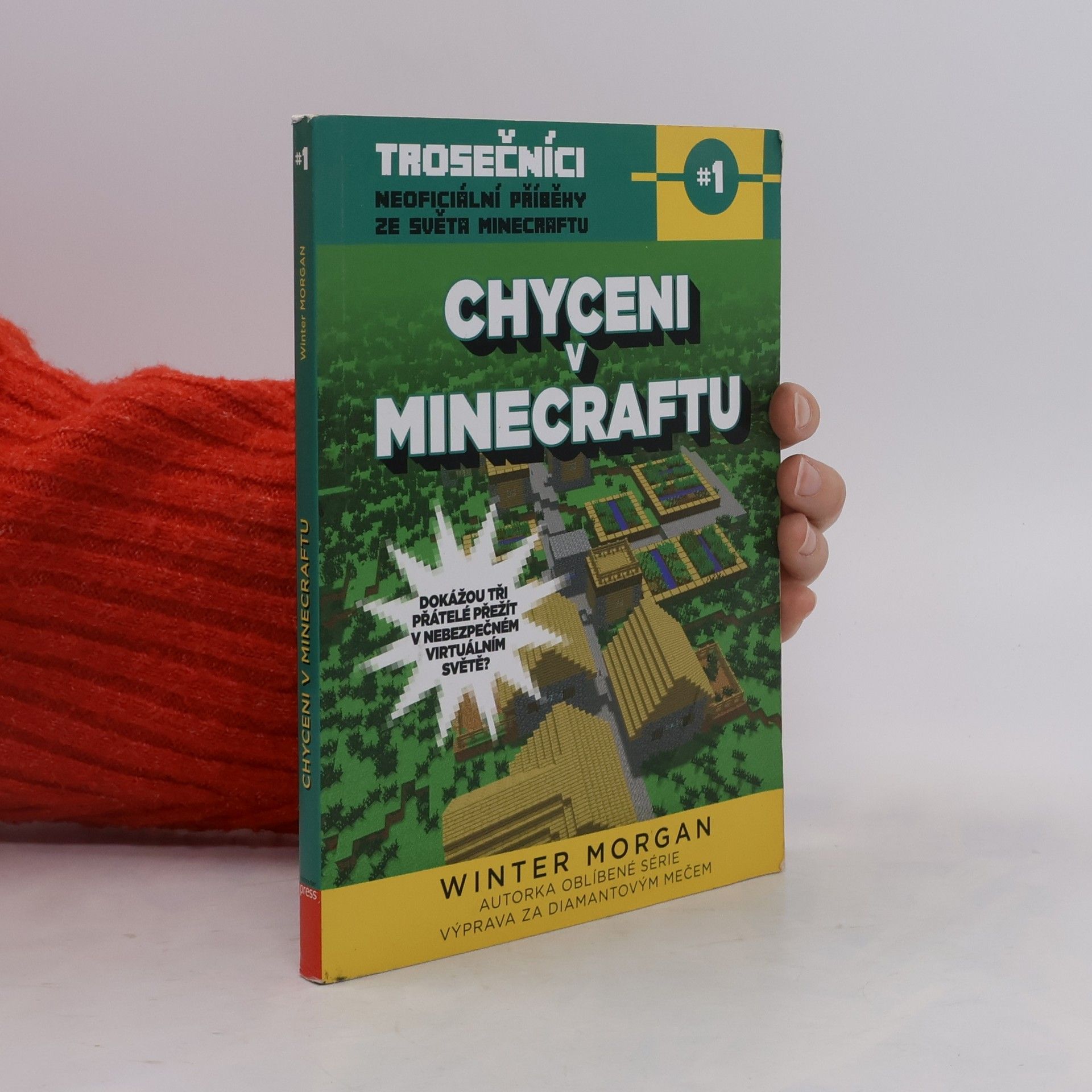Trosečníci. Kniha první, Chyceni v Minecraftu