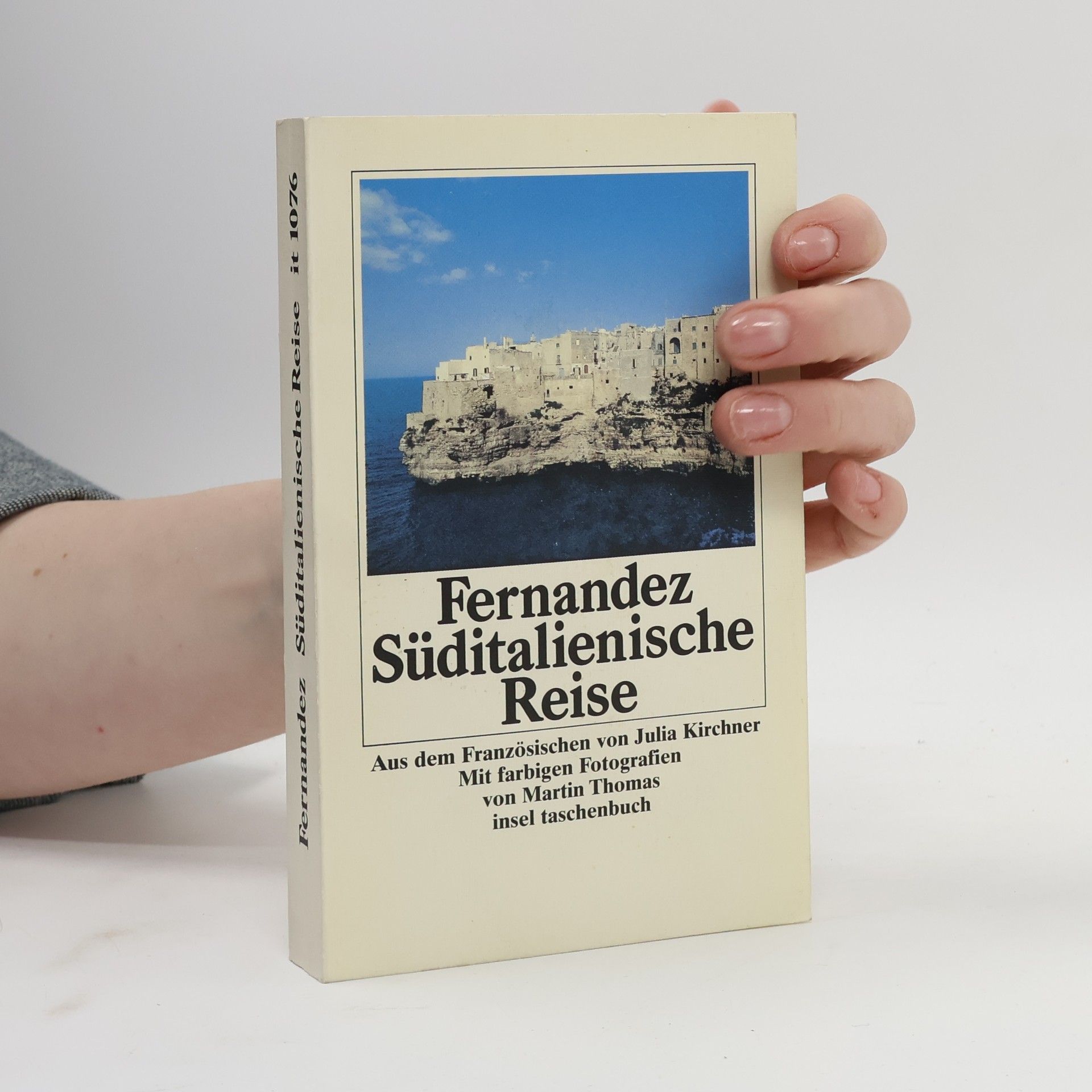 Dominique Fernandez Süditalienische Reise