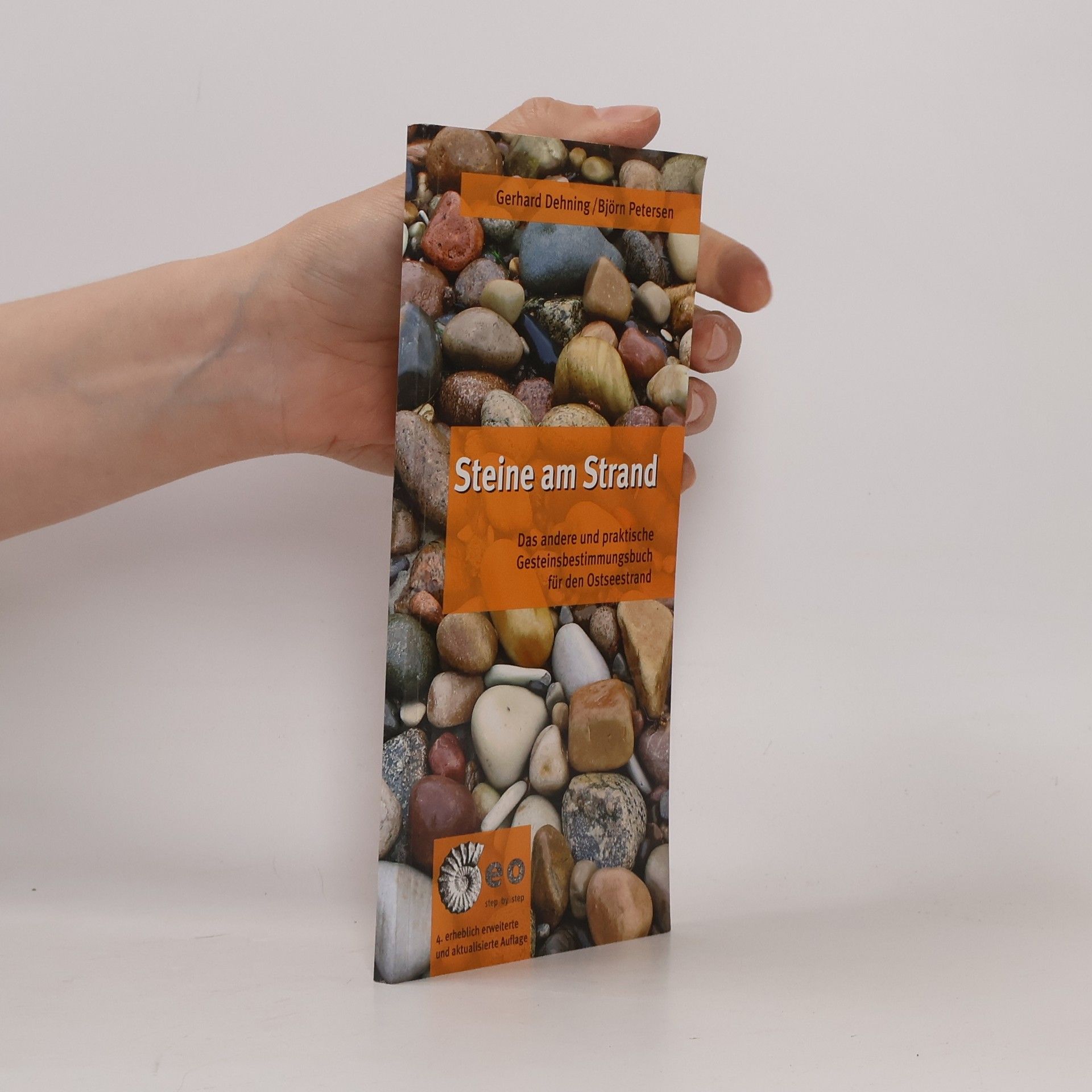 Gerhard Dehning Steine am Strand