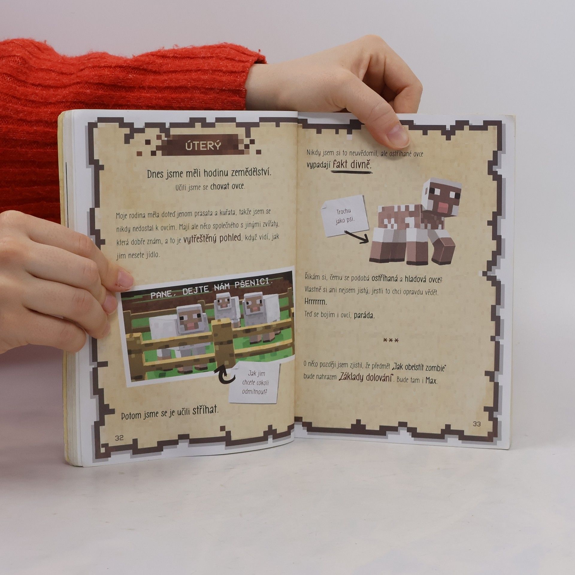 Barbora Antonová Deník malého Minecrafťáka