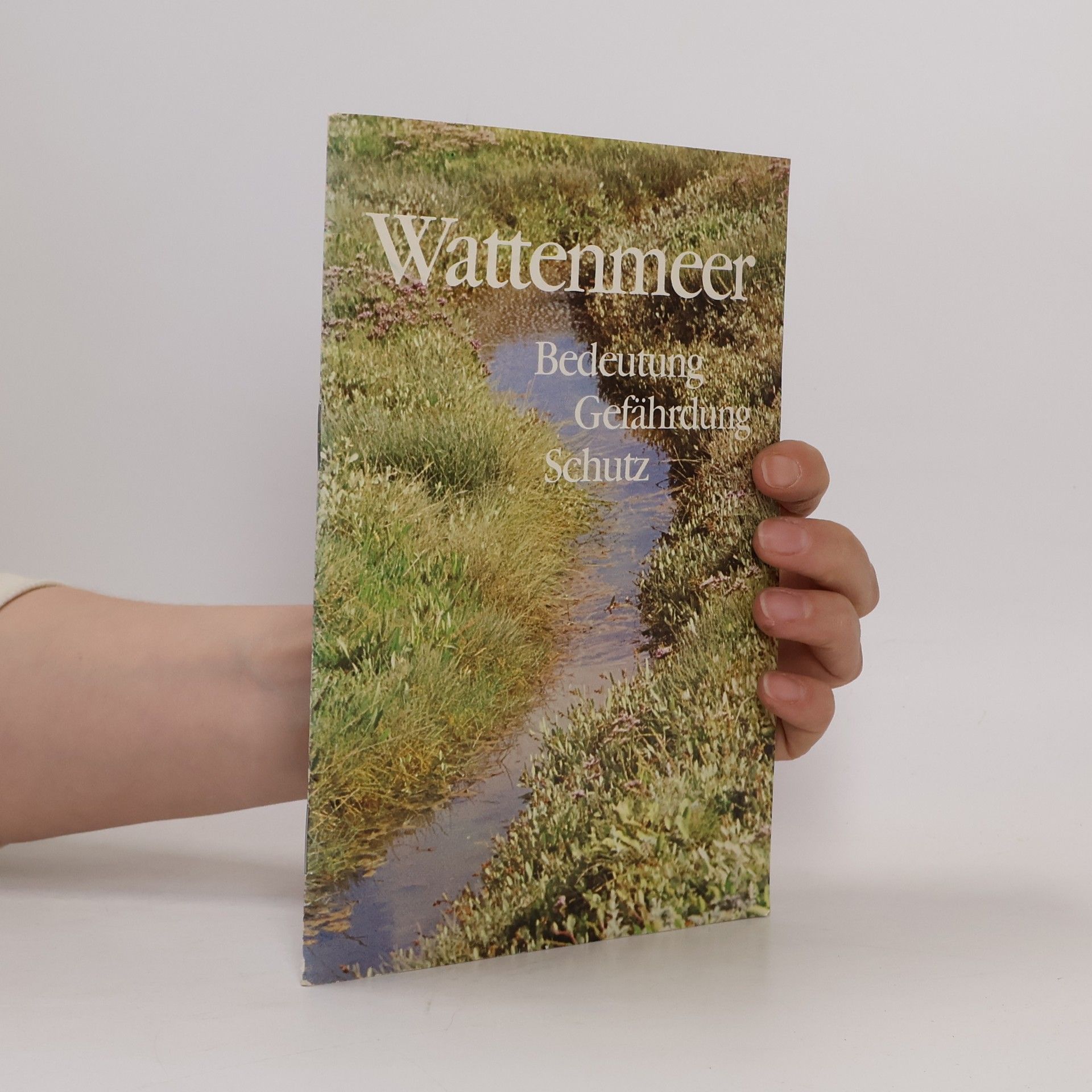 Berndt Heydemann Wattenmeer