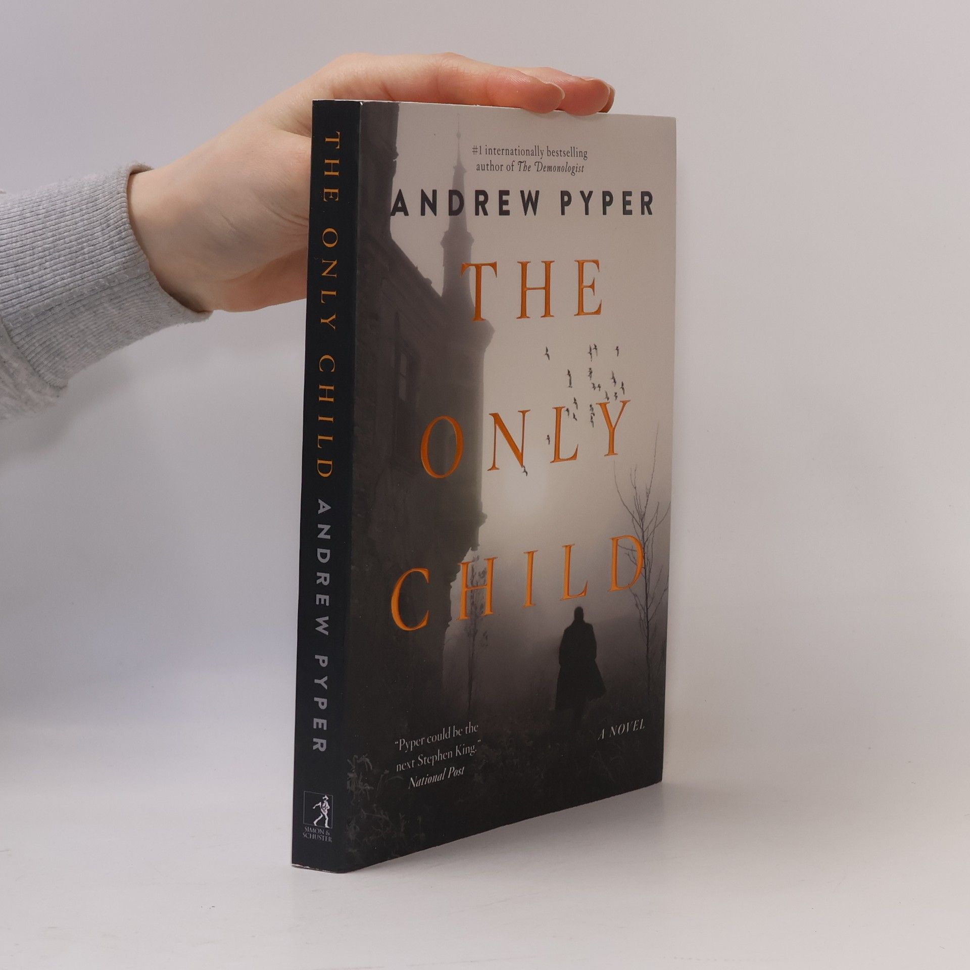 Andrew Pyper The Only Child