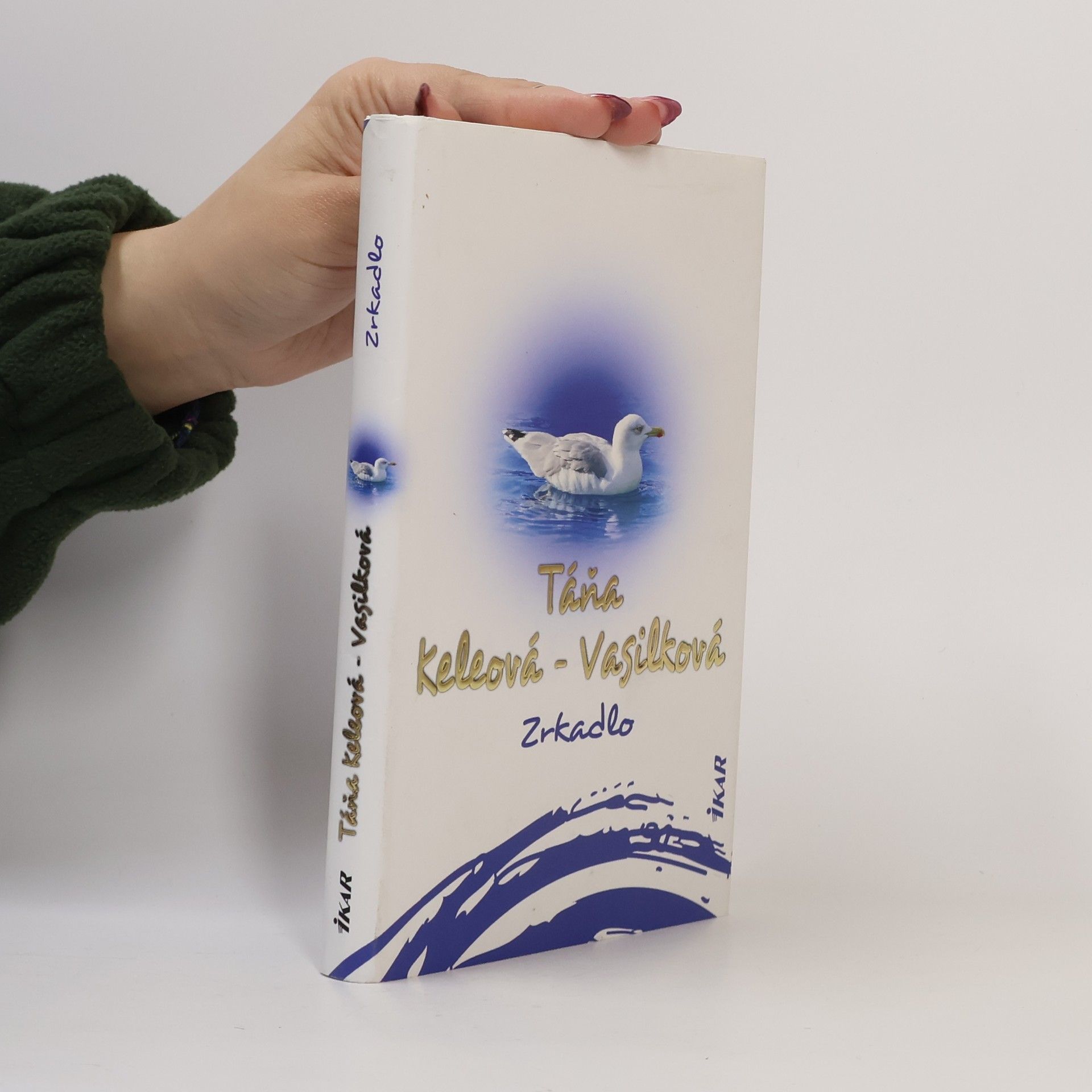 Táňa Keleová Vasilková Zrkadlo