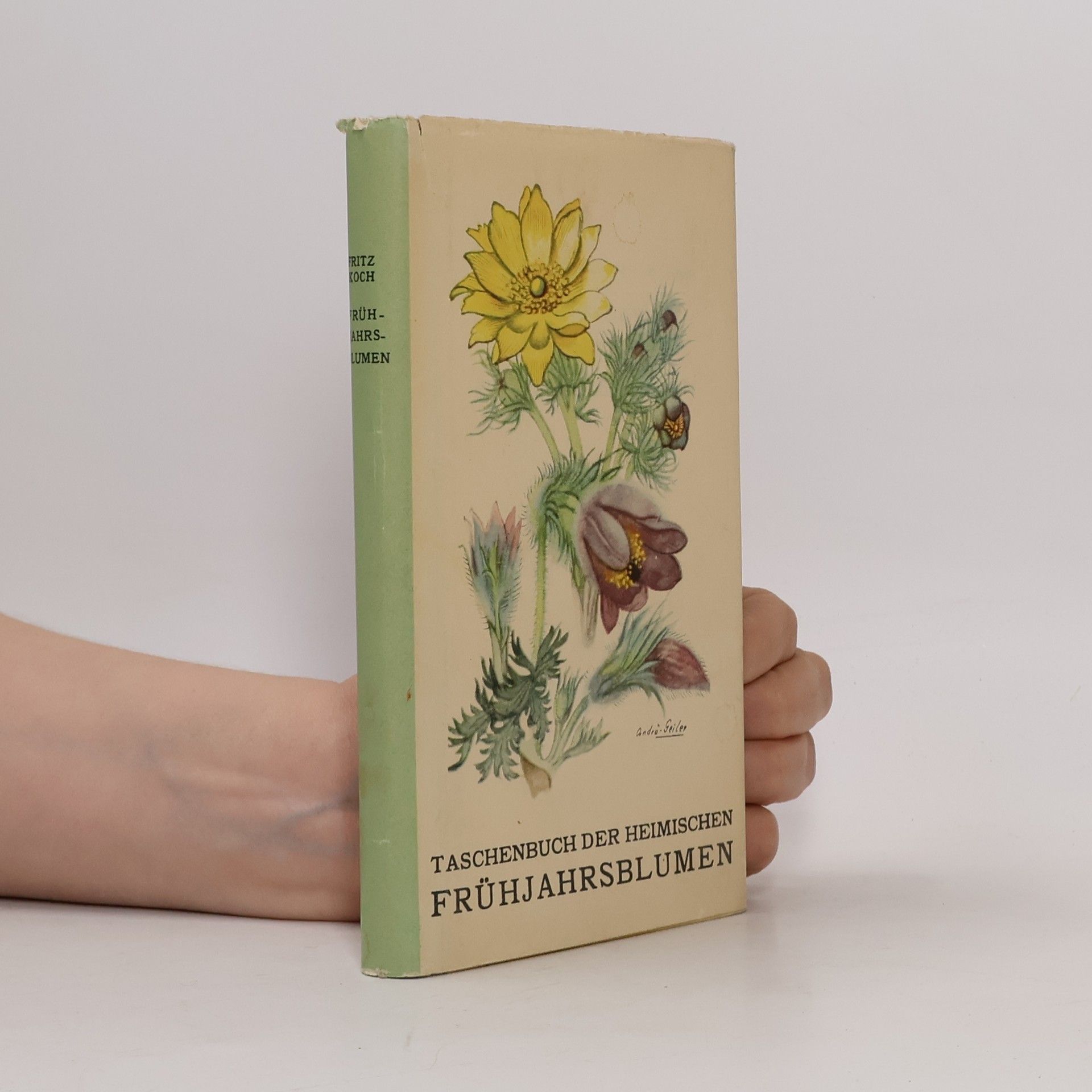 Fritz Koch Tachenbuch der Heimischen Frühjahrsblumen