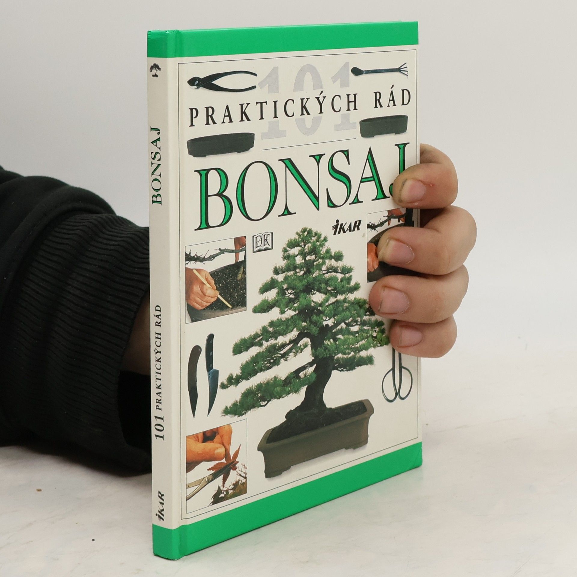 101 praktických rád: Bonsaj