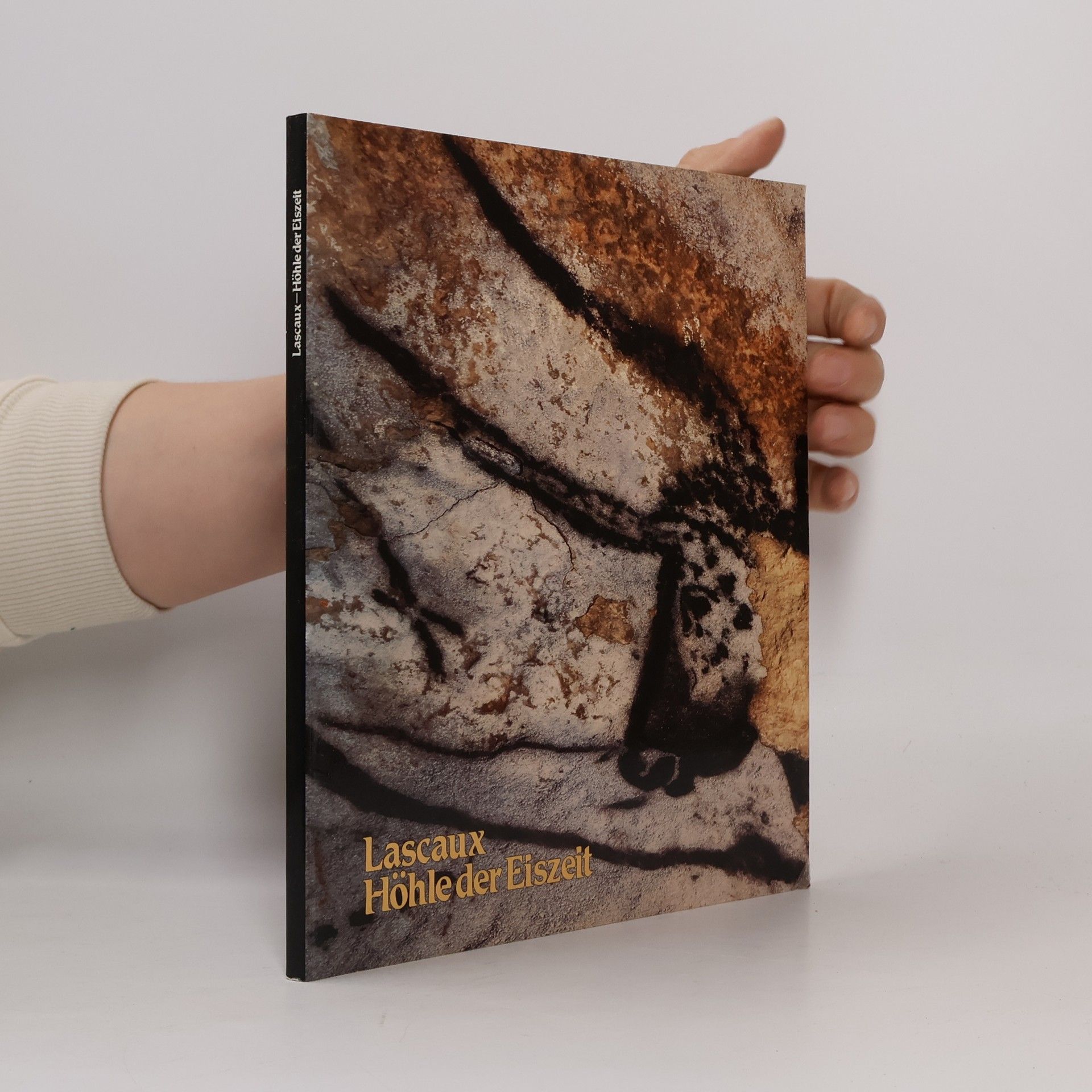 Lascaux, Höhle der Eiszeit