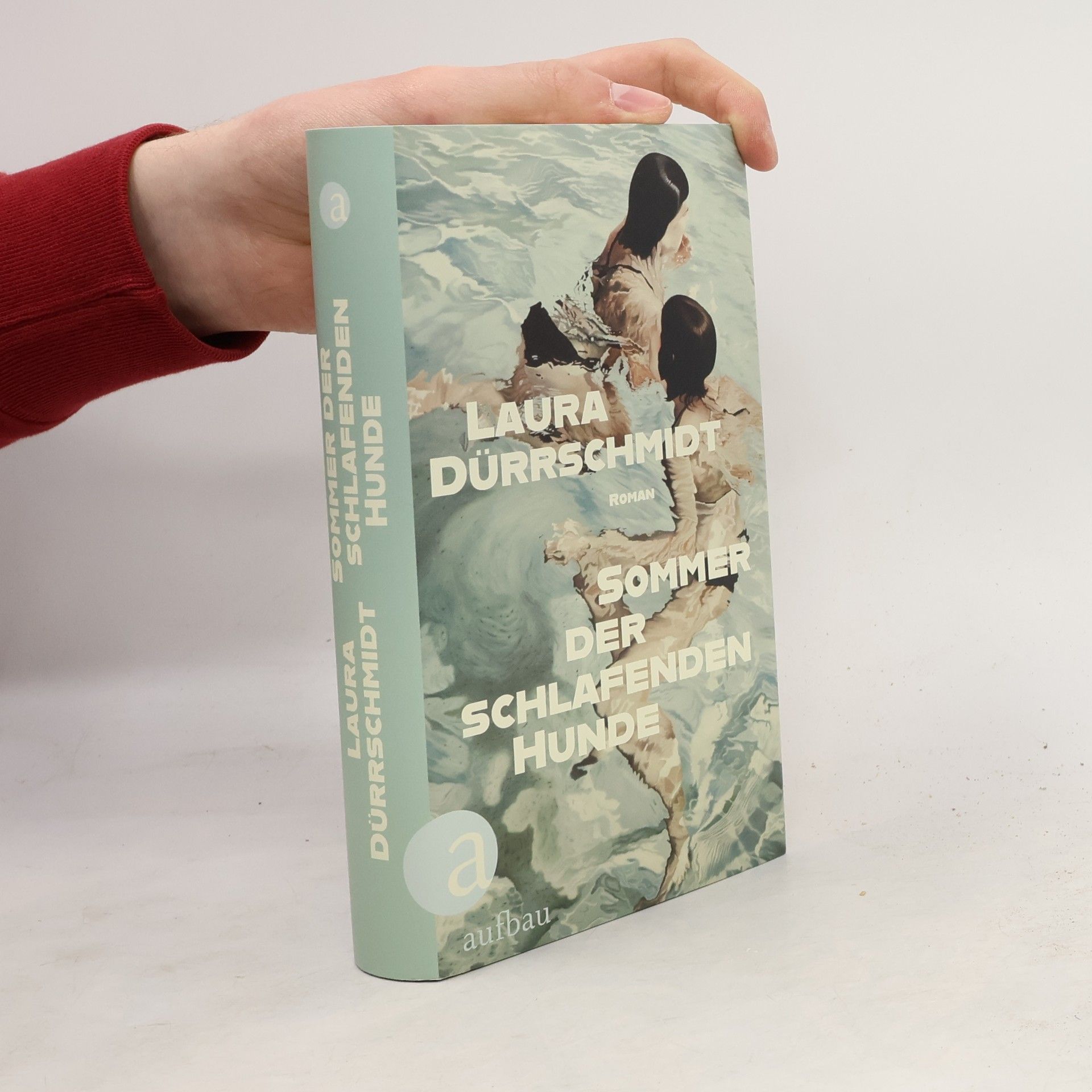 Laura Dürrschmidt Sommer der schlafenden Hunde