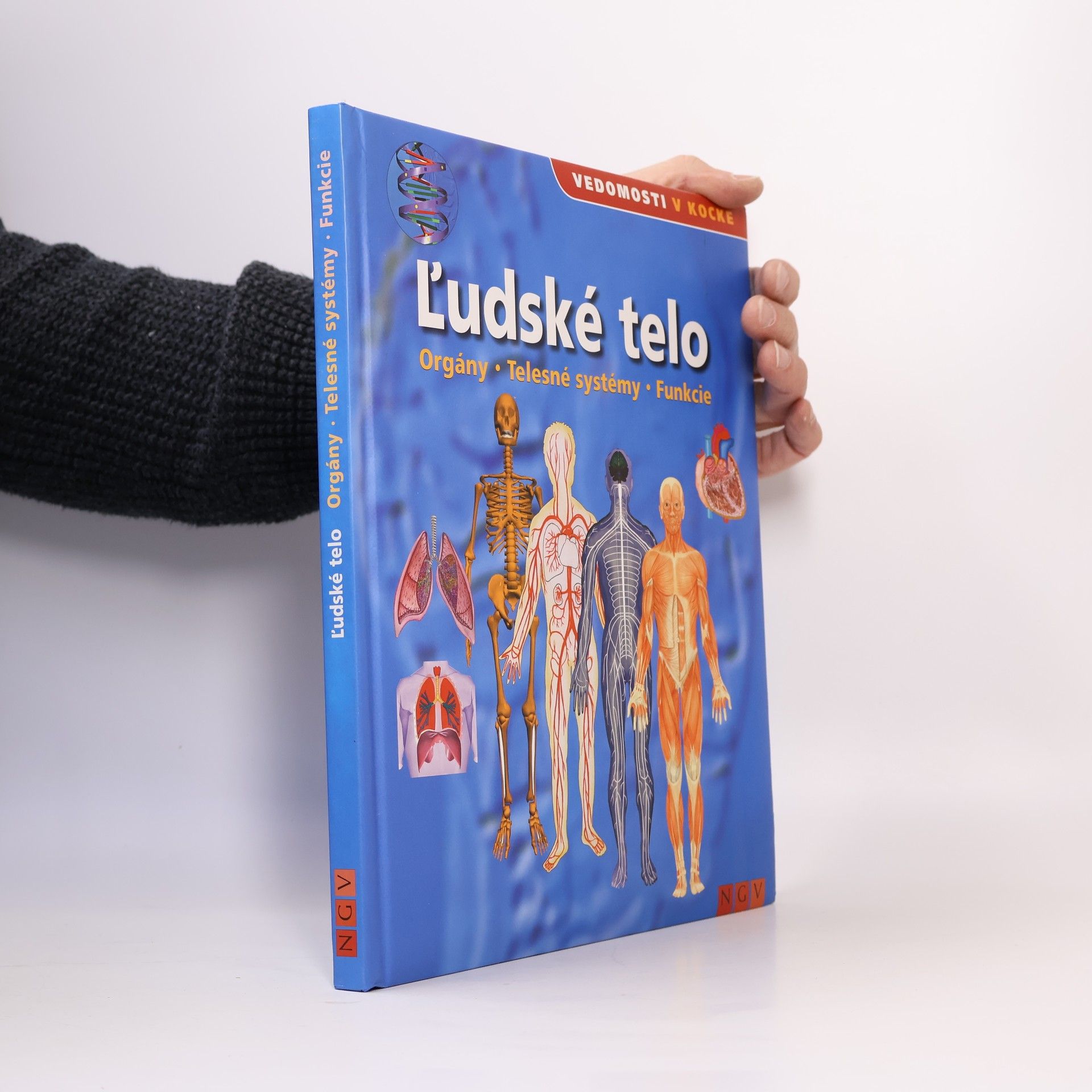 Autorenkollektiv Ľudské telo. Orgány, telesné systémy, funkcie