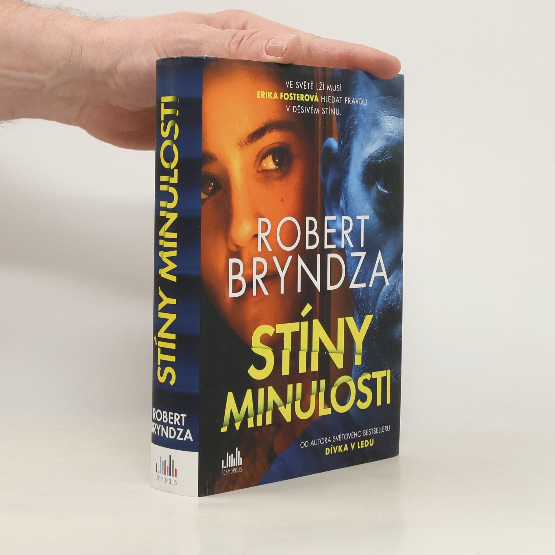 Robert Bryndza Stíny minulosti