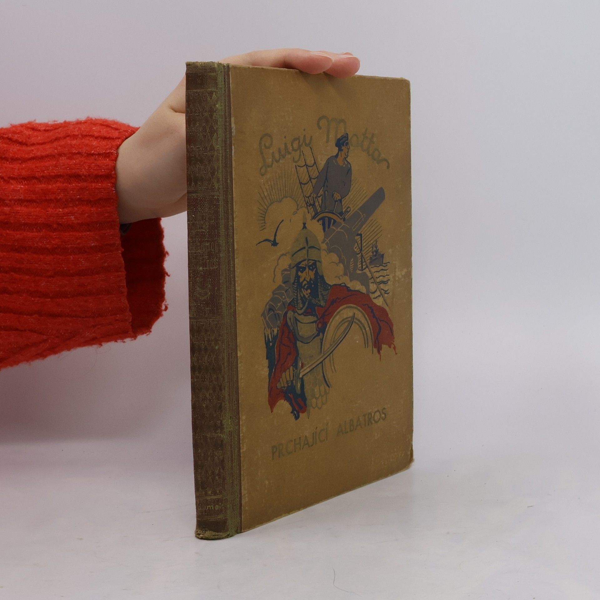 Luigi Motta Prchající albatros