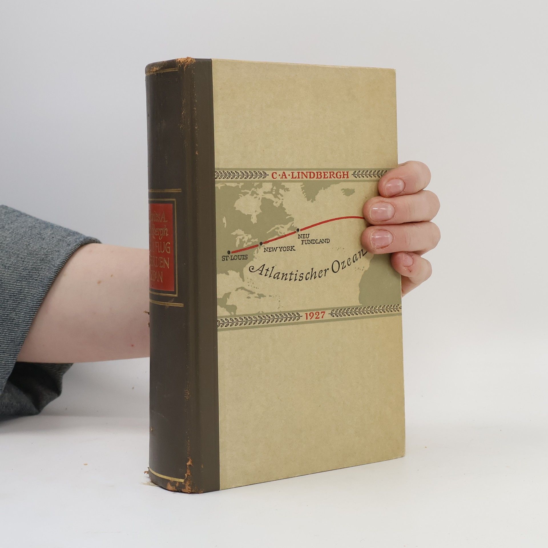 Mein Flug über den Ozean