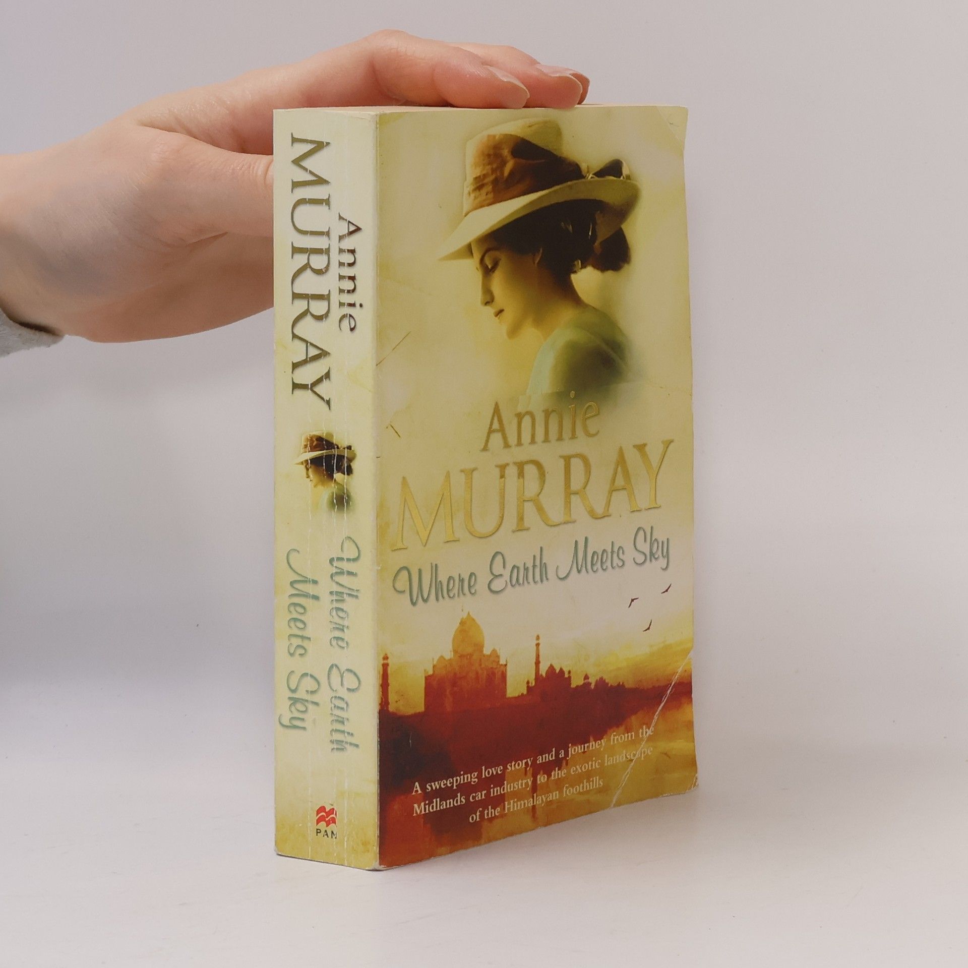 Annie Murray Where Earth Meets Sky