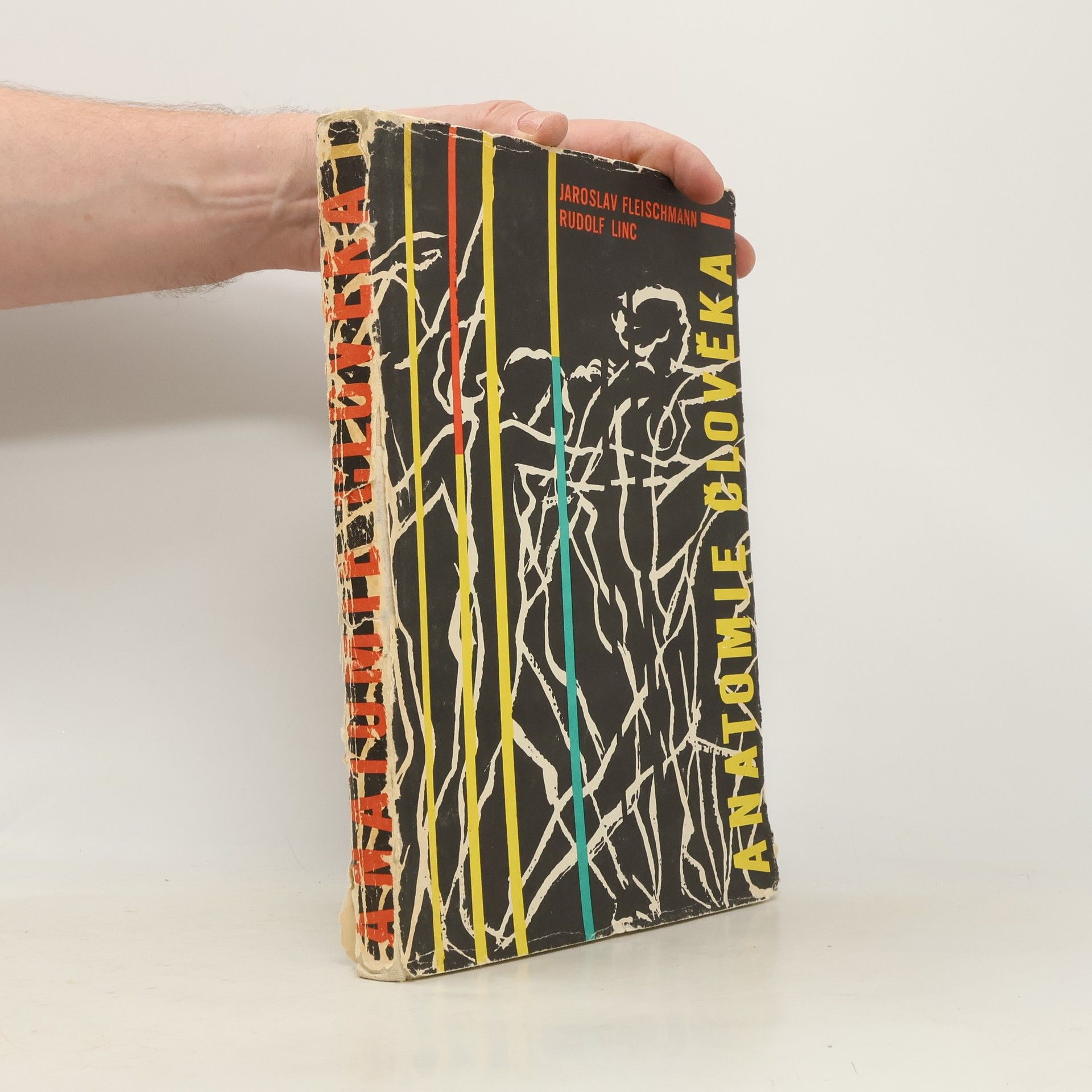 Anatomie člověka I