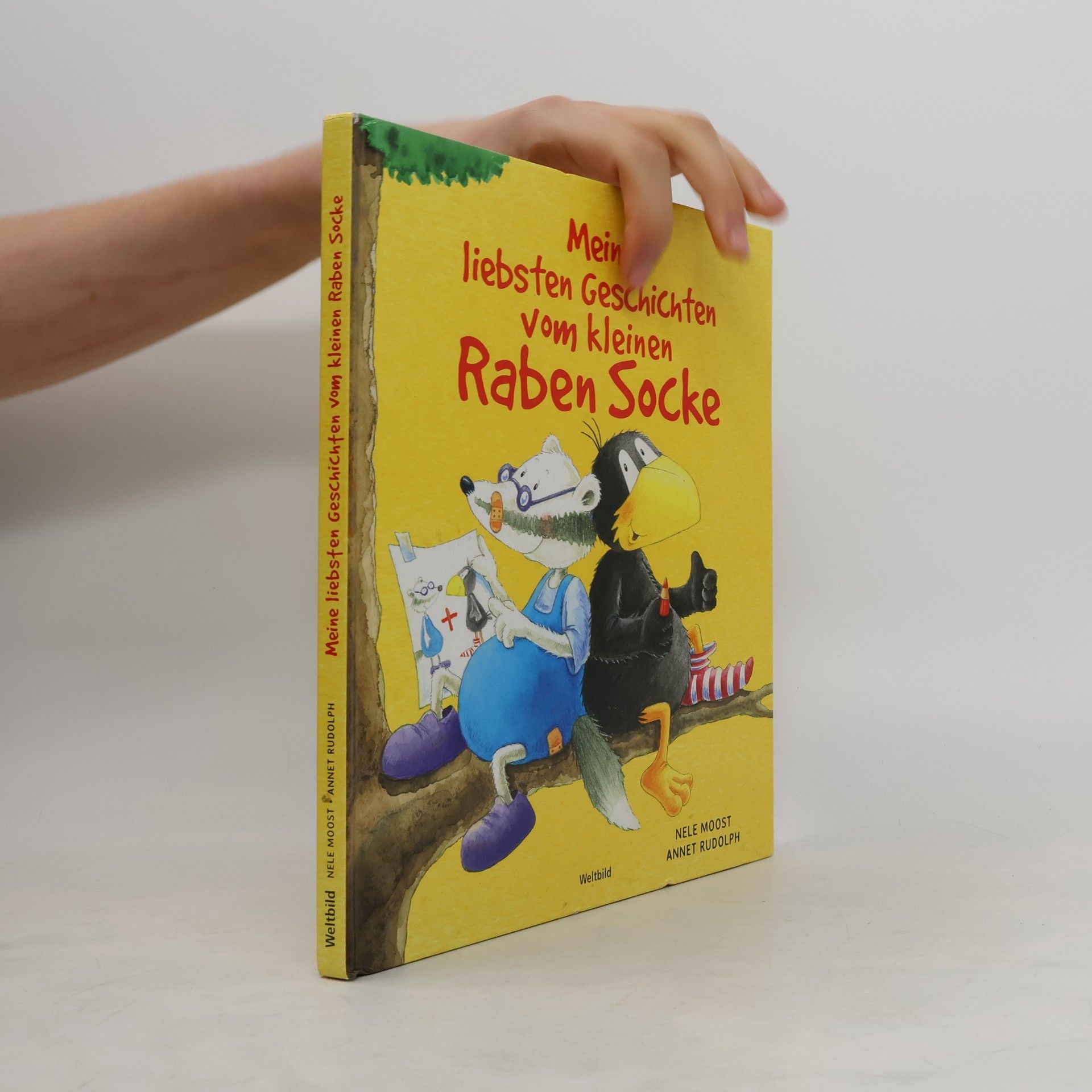 Nele Moost Meine liebsten Geschichten vom kleinen Raben Socke