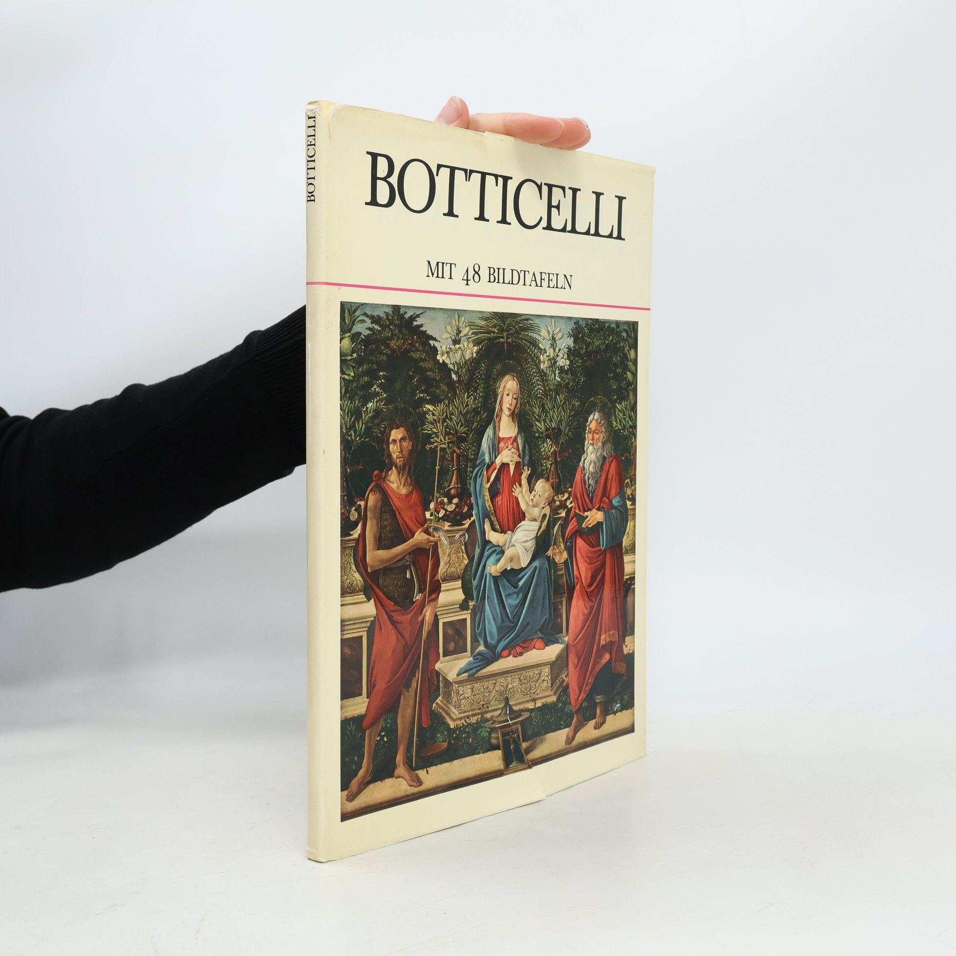 Collectif d'auteurs Botticelli. Mit 48 Bildtafeln