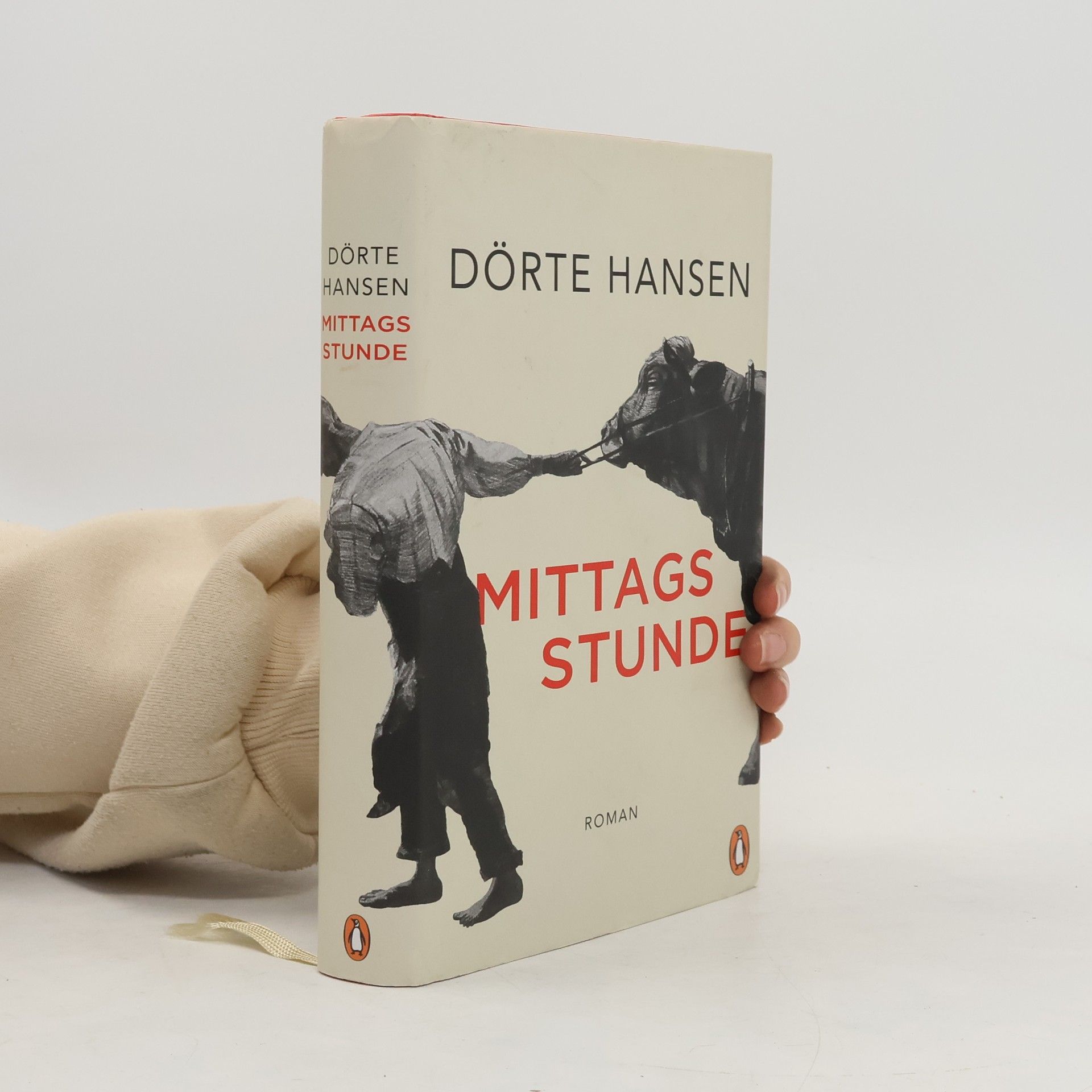 Dörte Hansen Mittagsstunde
