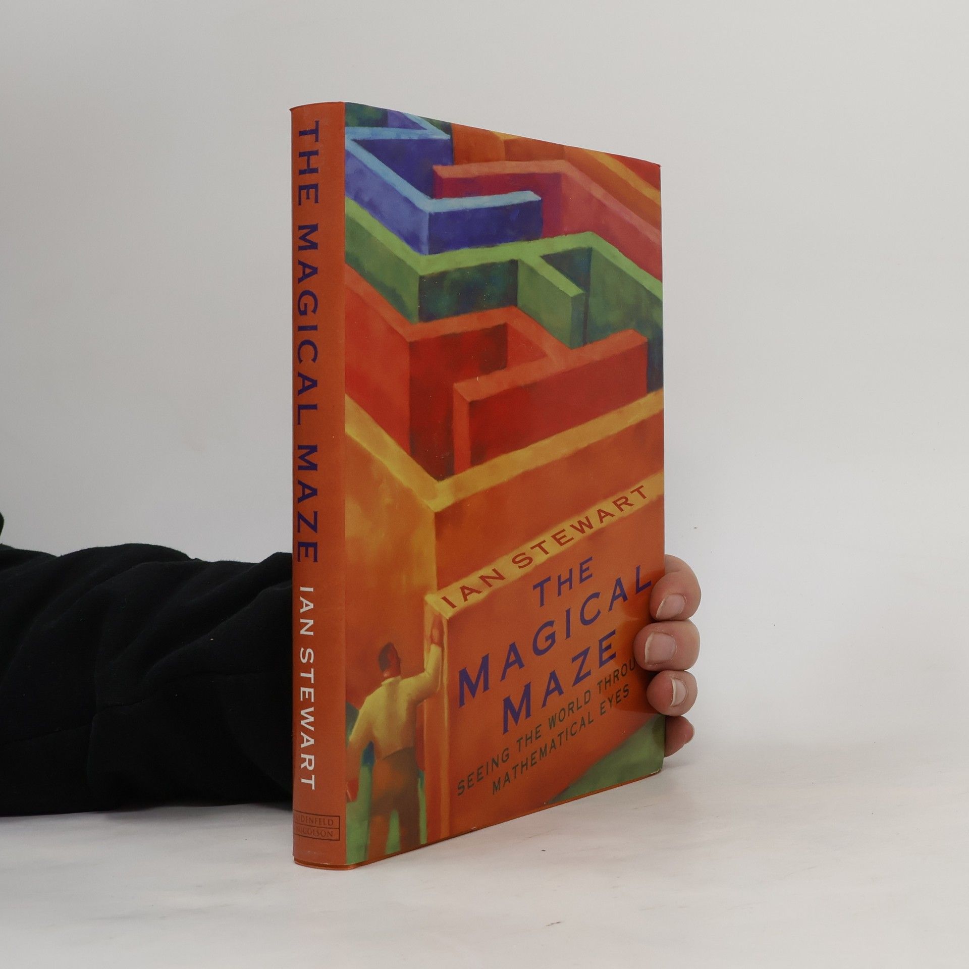 Magical Maze Seeing the World Through Ma