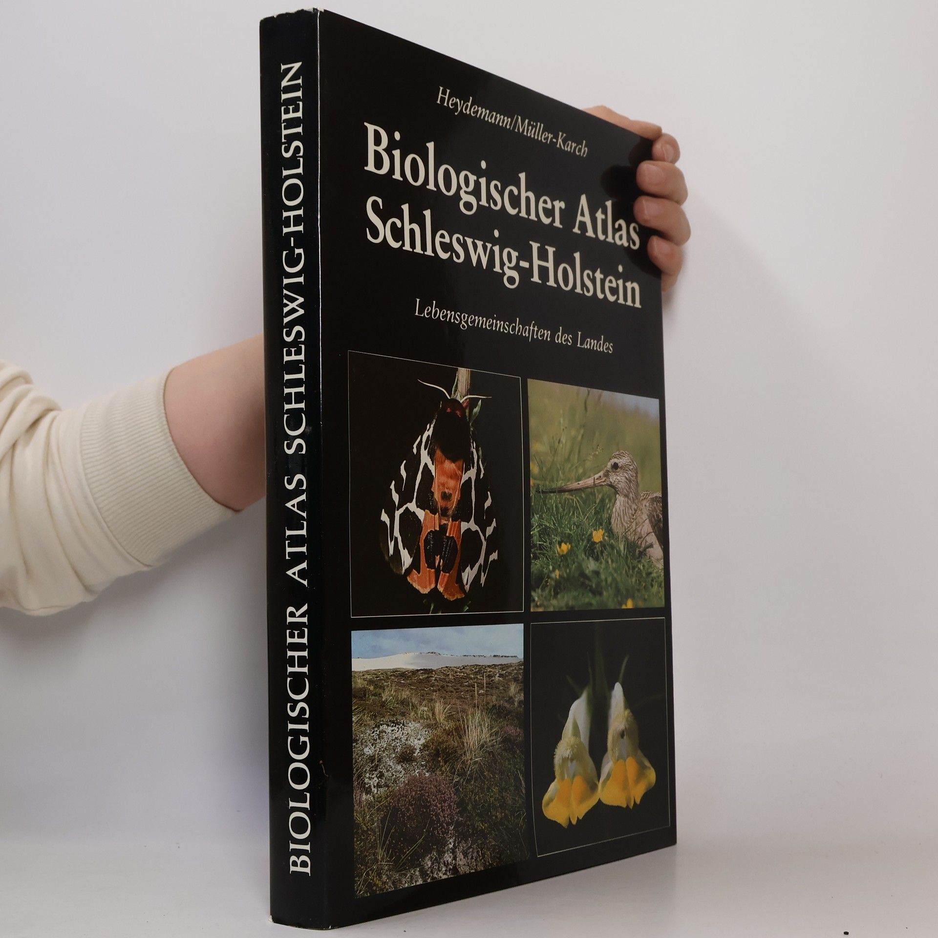 H. Dietrich Habbe Ländlicher Zauber in Schleswig-Holstein