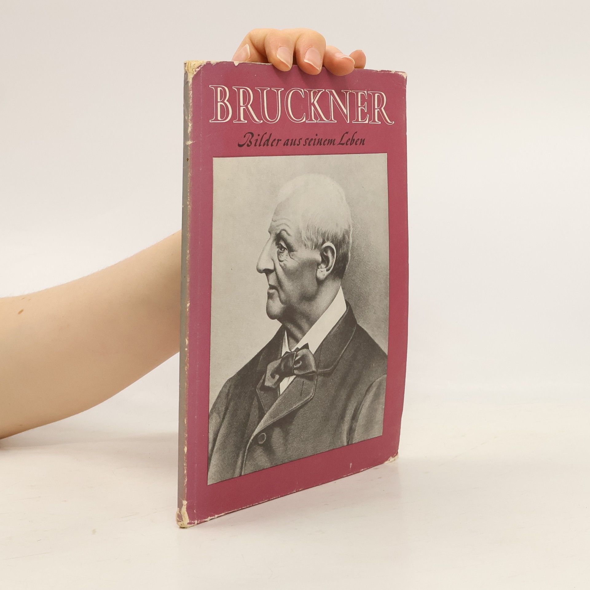 Autorenkollektiv Bruckner: Bilder aus seinem Leben.