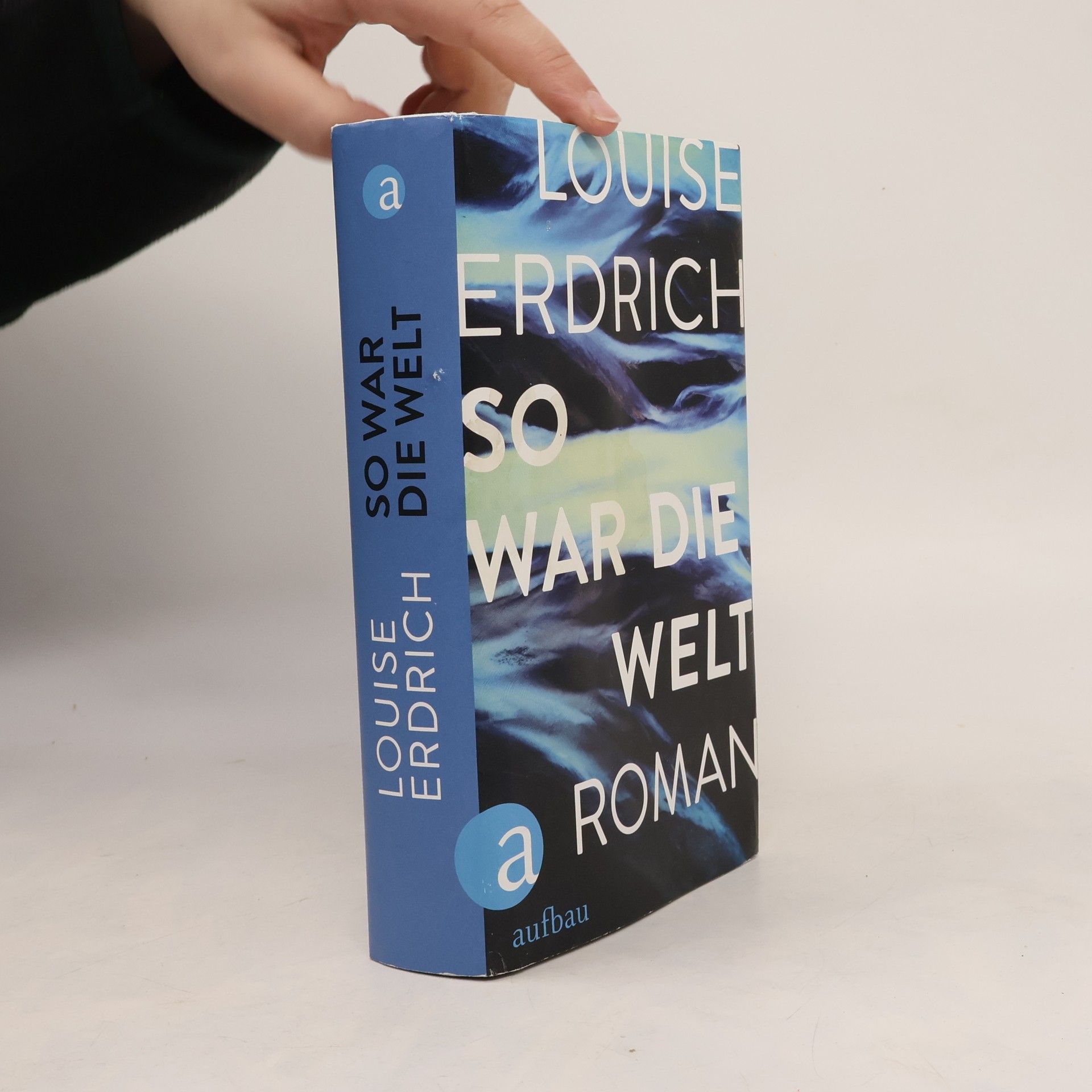 Louise Erdrich So war die Welt