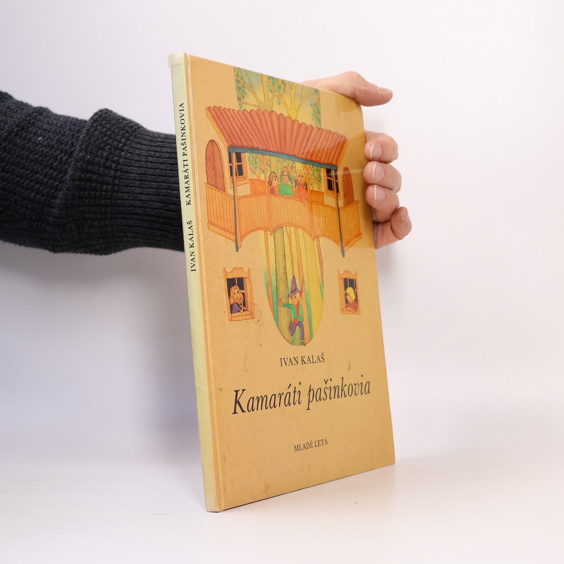 Kamaráti pašinkovia