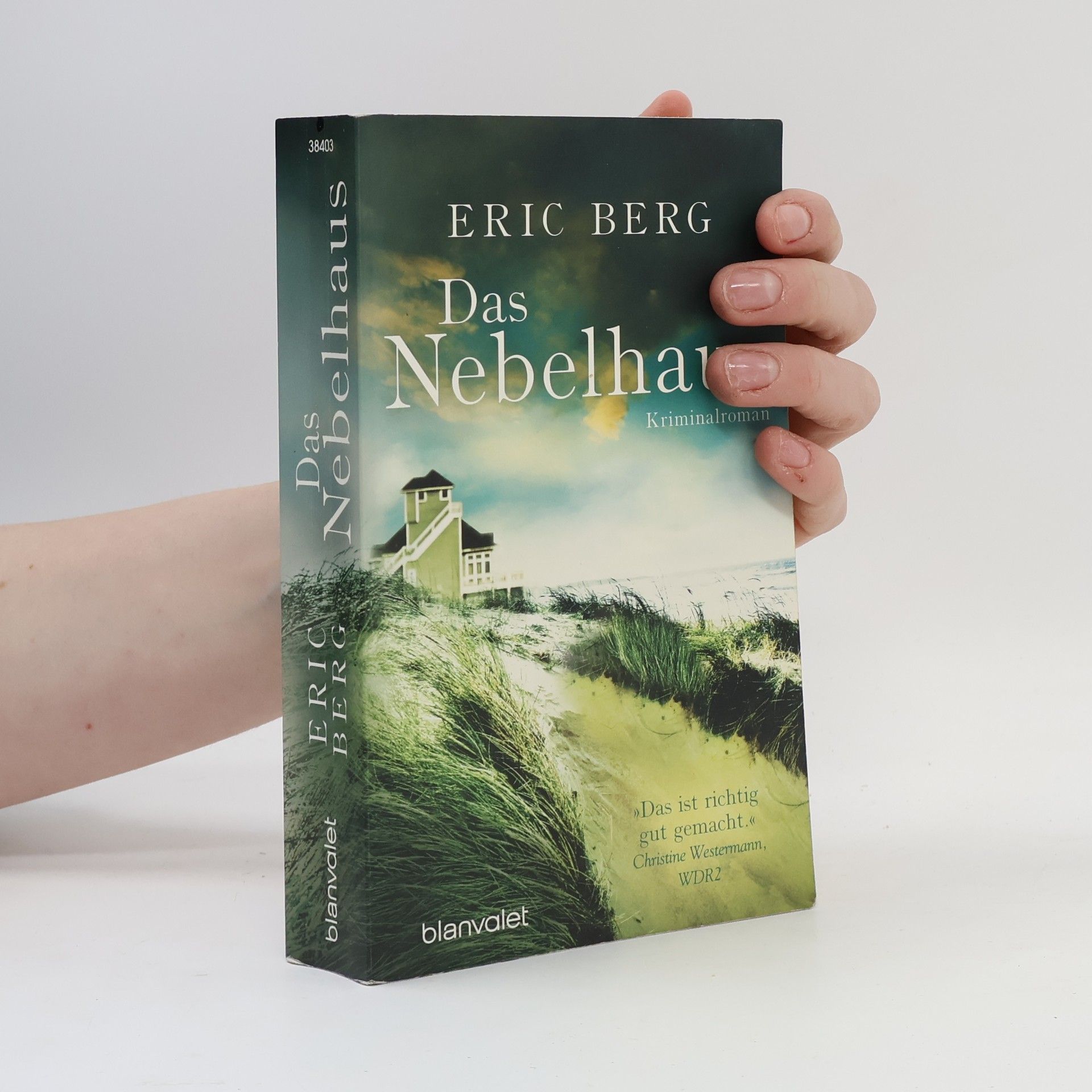 Eric Berg Das Nebelhaus