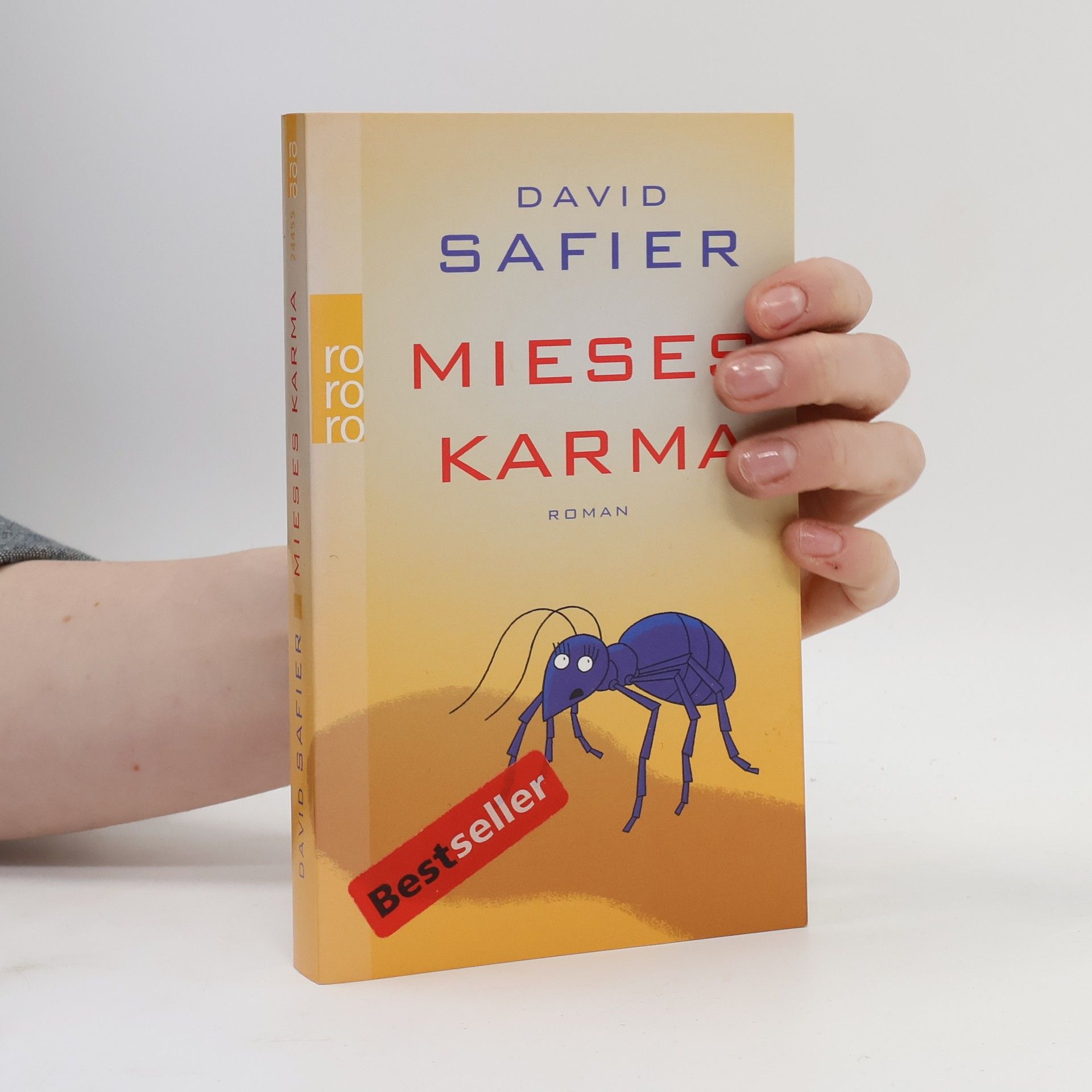 David Safier Mieses Karma