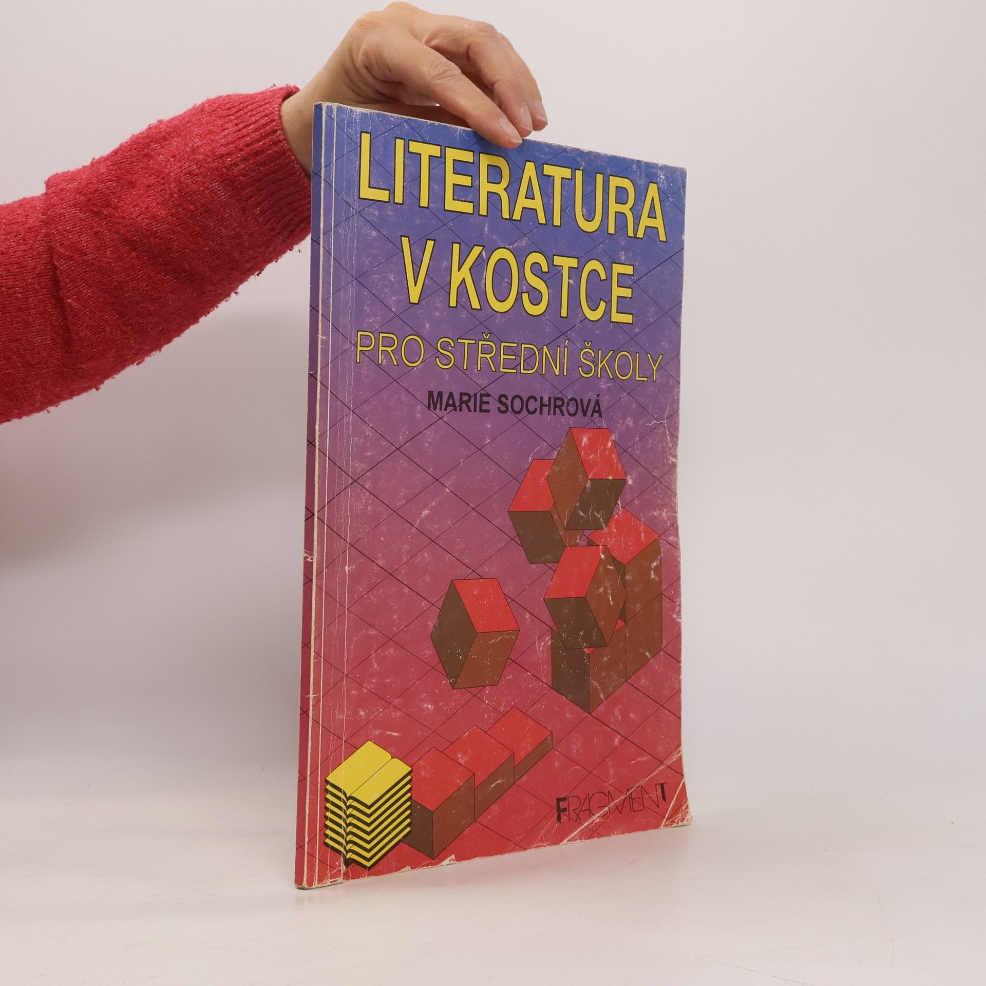 Tomáš Řízek Literatura v kostce