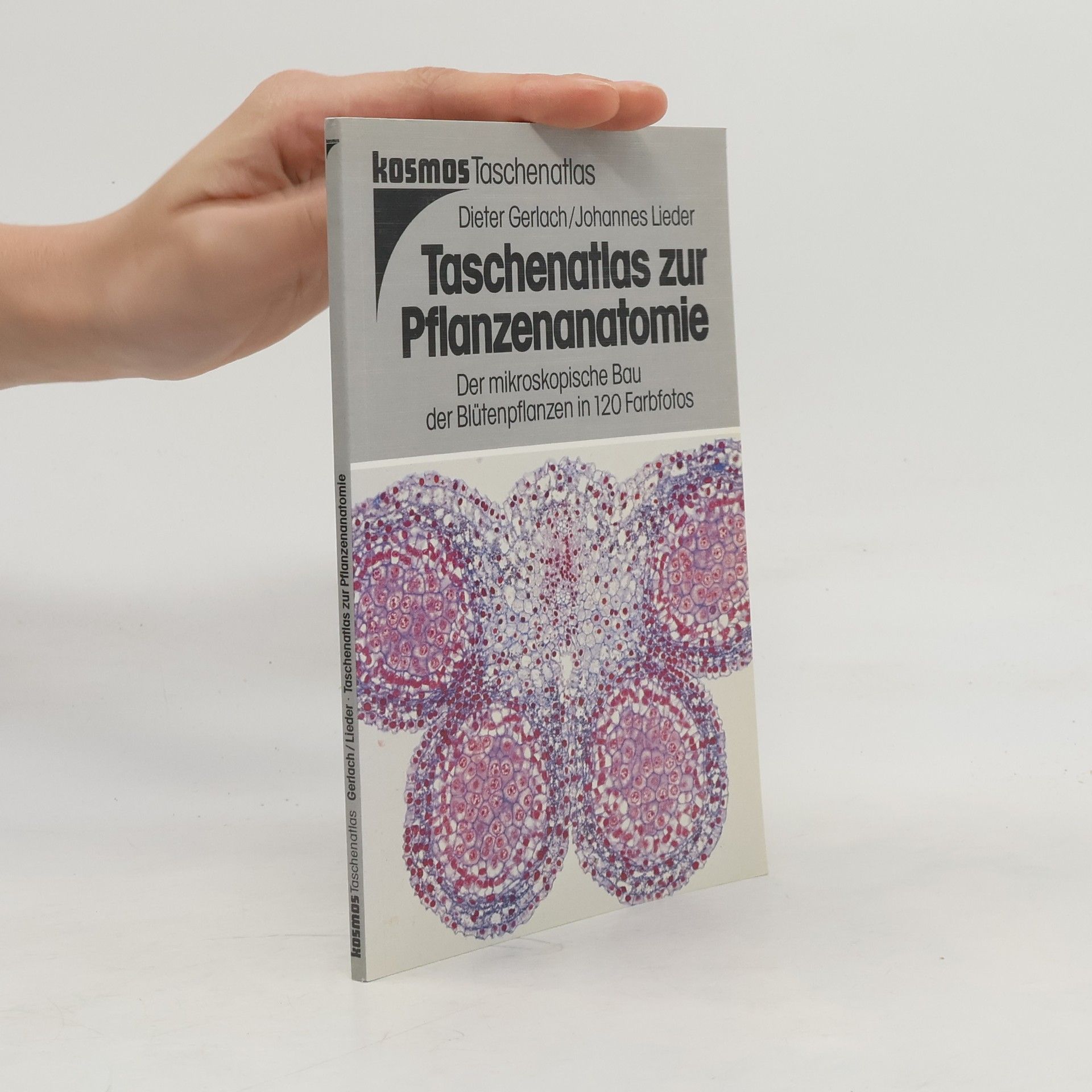 Dieter Gerlach Taschenatlas zur Pflanzenanatomie