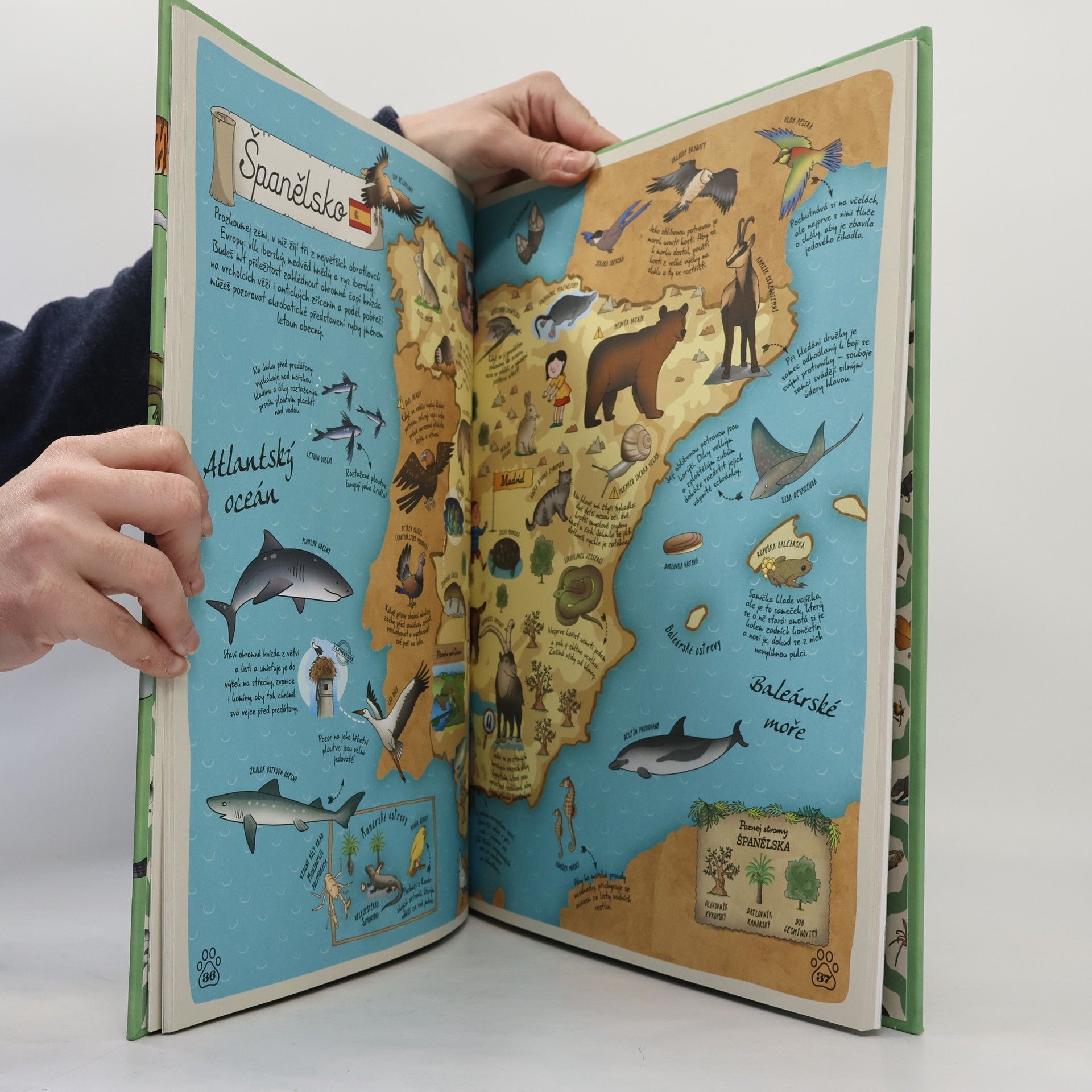 Paola Grimaldi Atlas zvířat celého světa