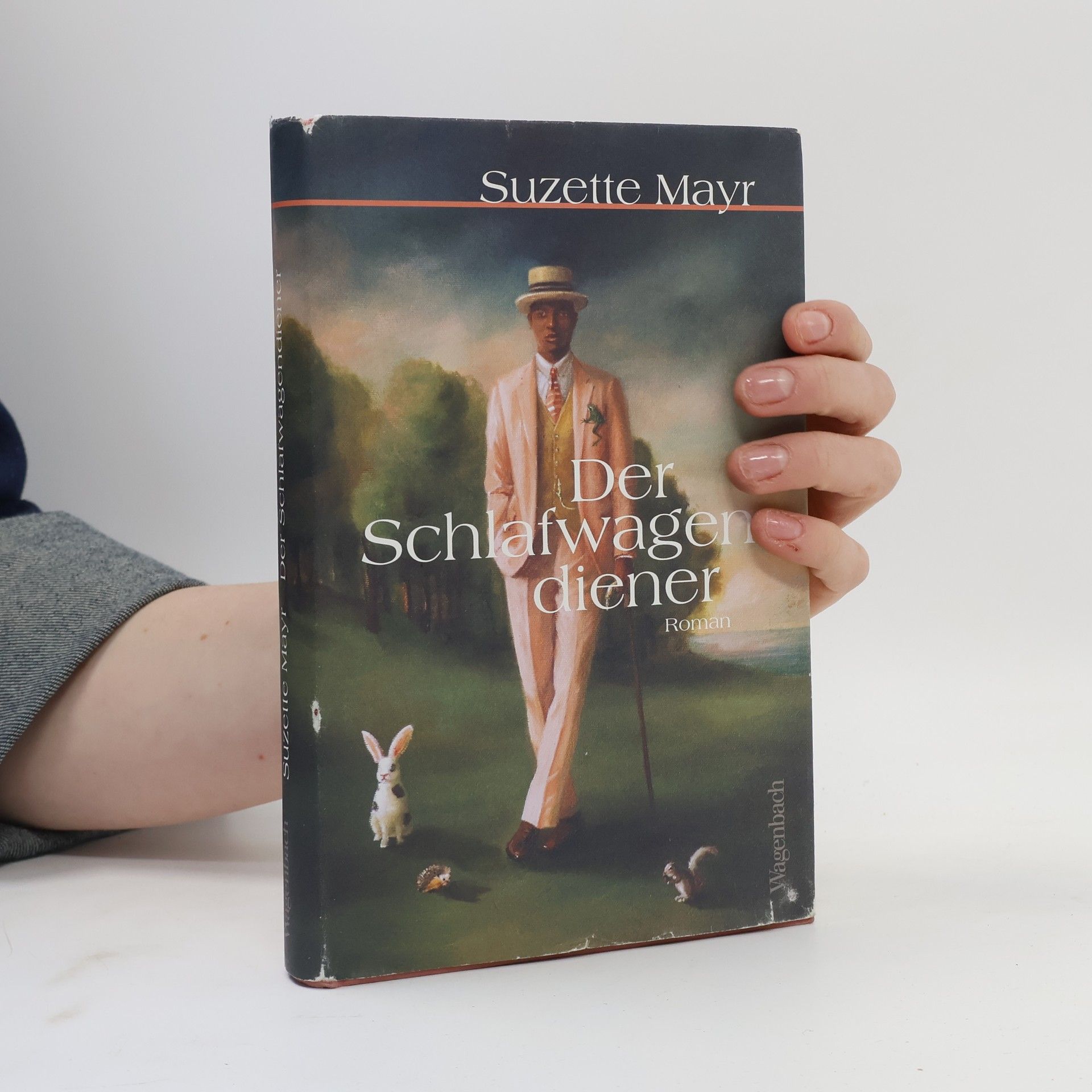 Suzette Mayr Der Schlafwagendiener