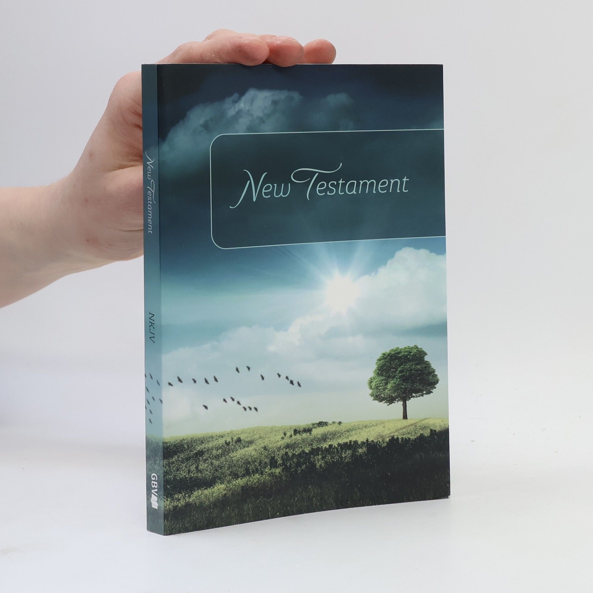 Lazàr Andrada Lorena New Testament