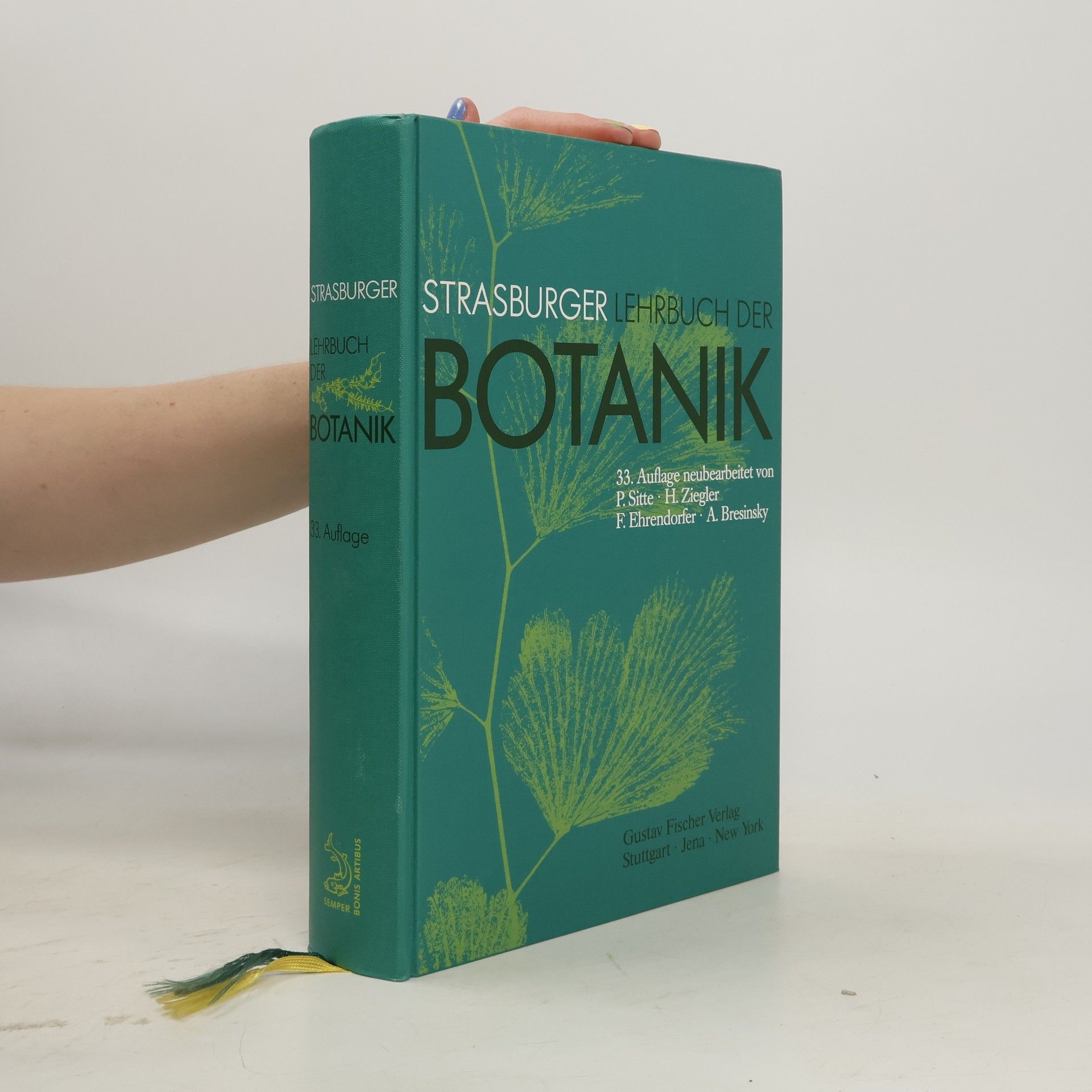 Autorenkollektiv Strasburger Lehrbuch der Botanik