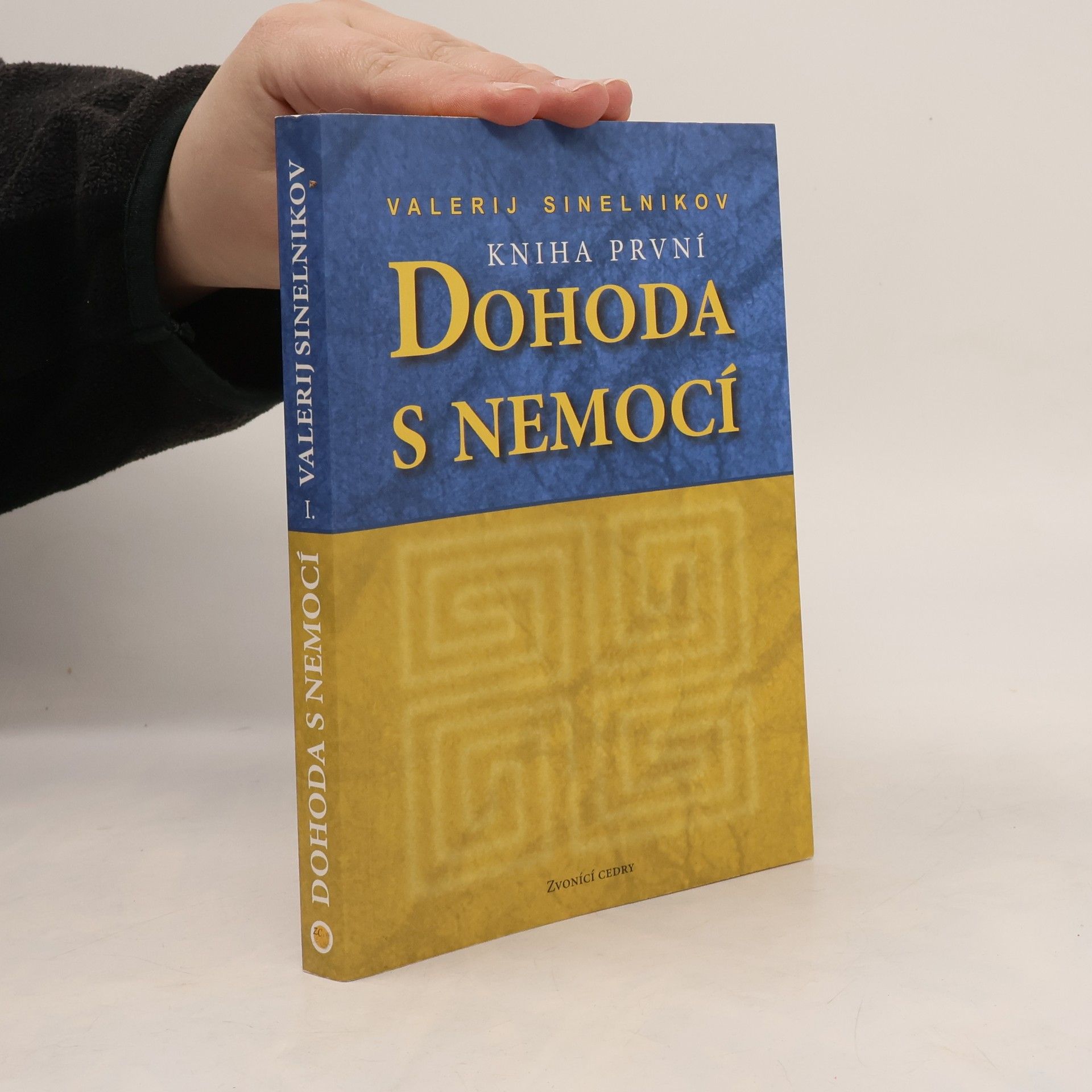 Valerij Vladimirovič Sinel‘nikov Dohoda s nemocí. Kniha první
