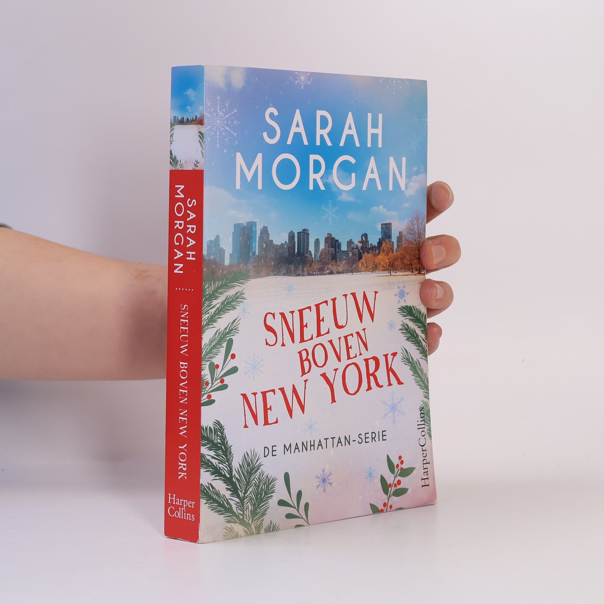 Sarah Morgan Sneeuw boven New York