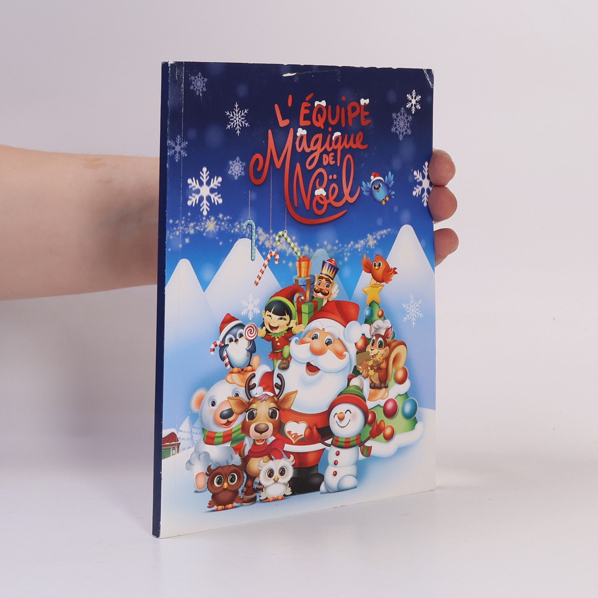 Autorenkollektiv L'équipe magique de Noël