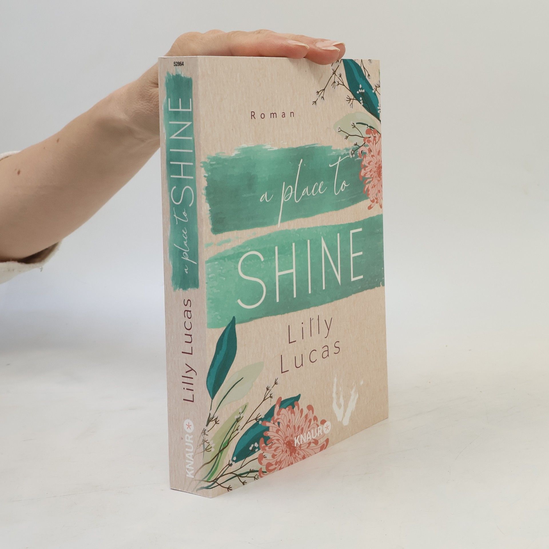 Lilly Lucas A Place to Shine