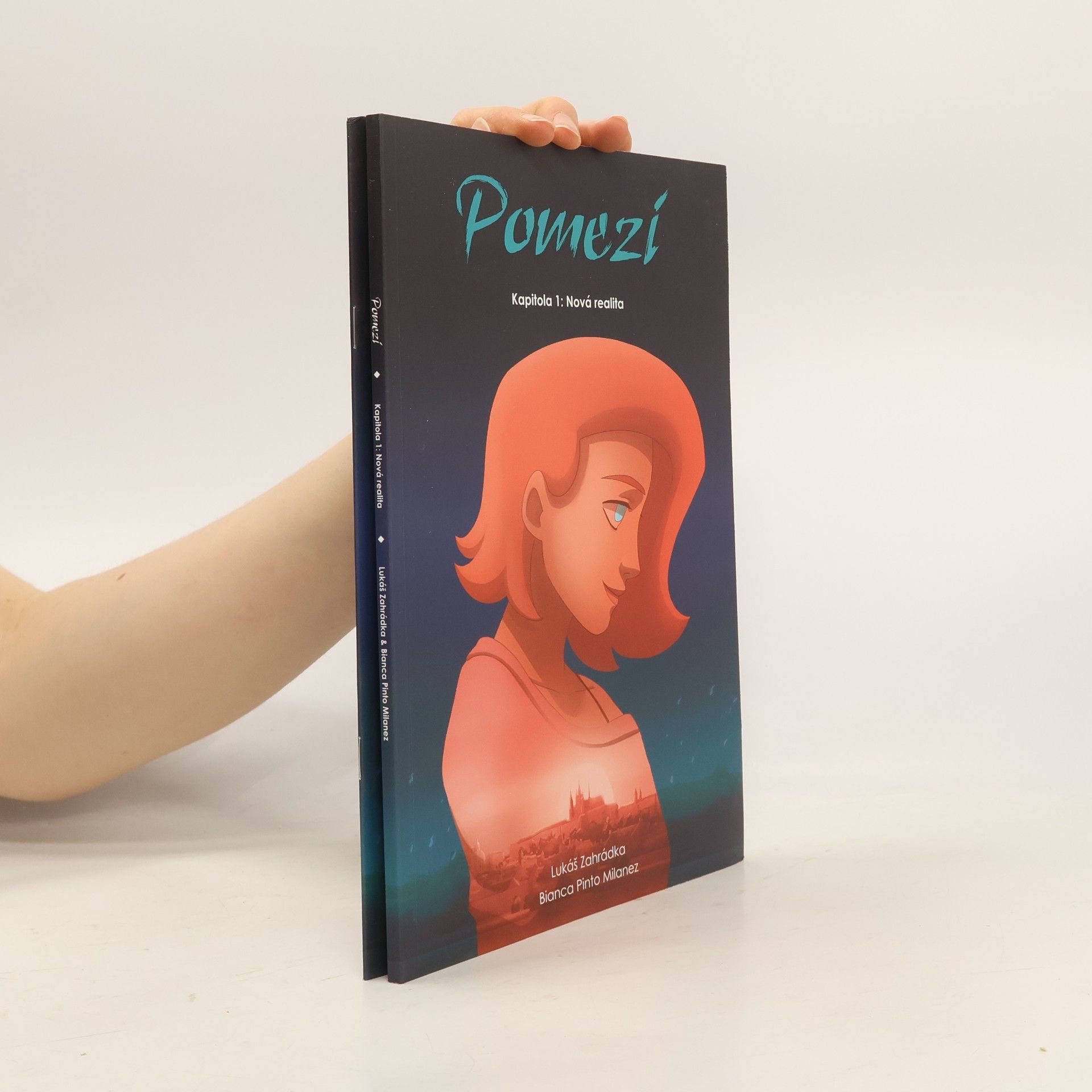 Lukáš Zahrádka Pomezí. Kapitola 1. Nová realita