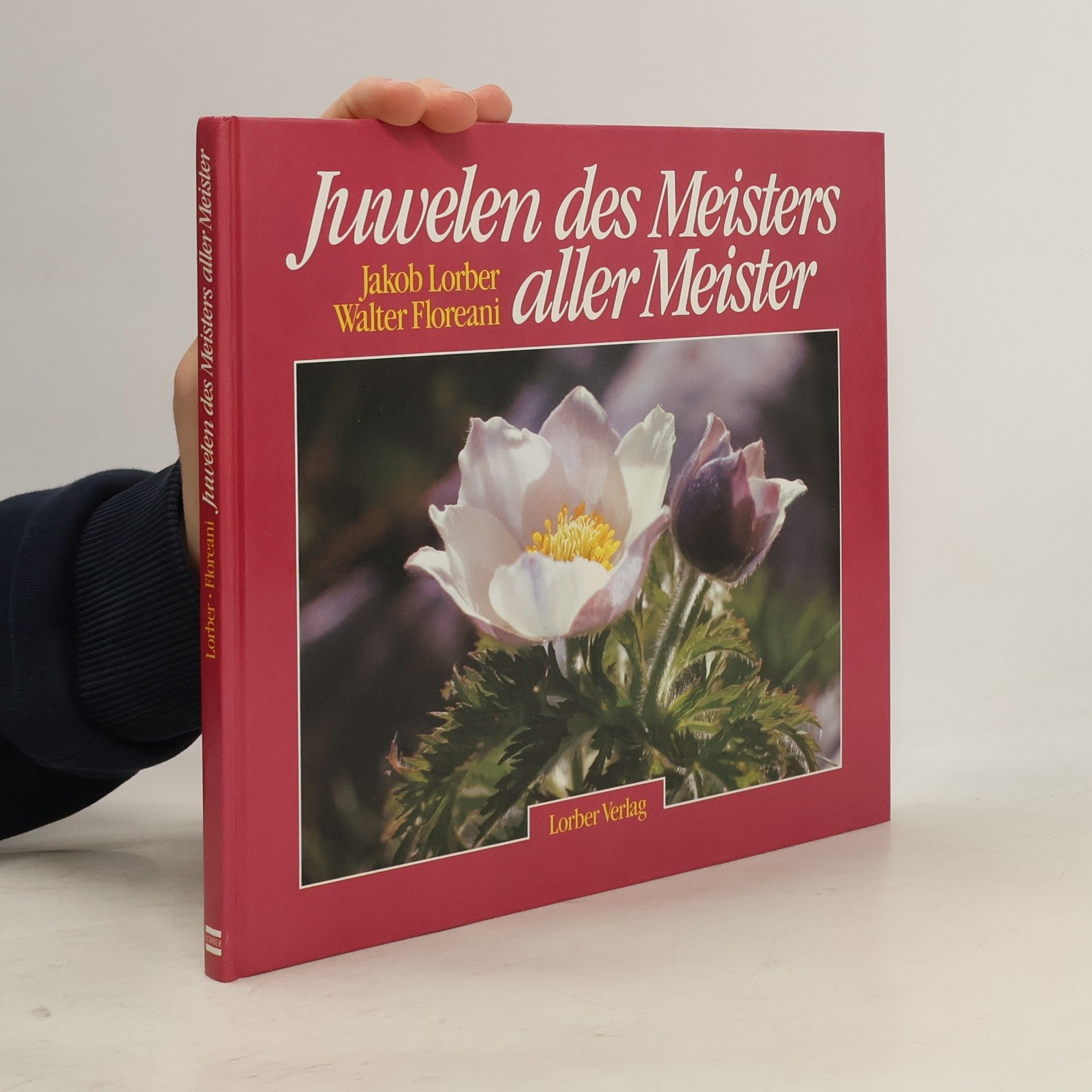 Jakob Lorber Juwelen des Meisters aller Meister