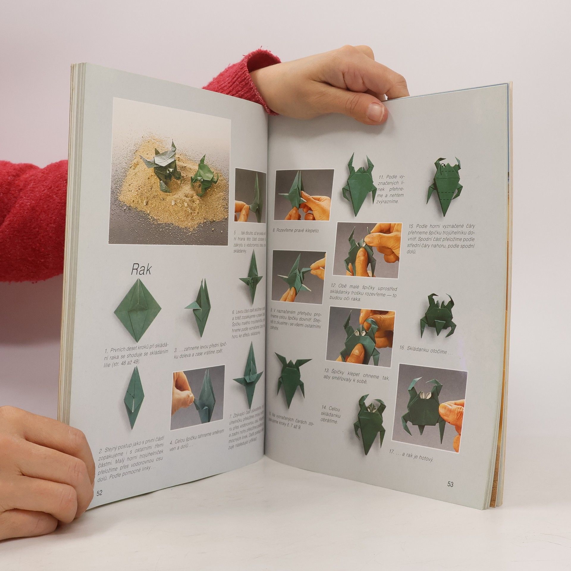 Zülal AytüreScheele Hobby origami