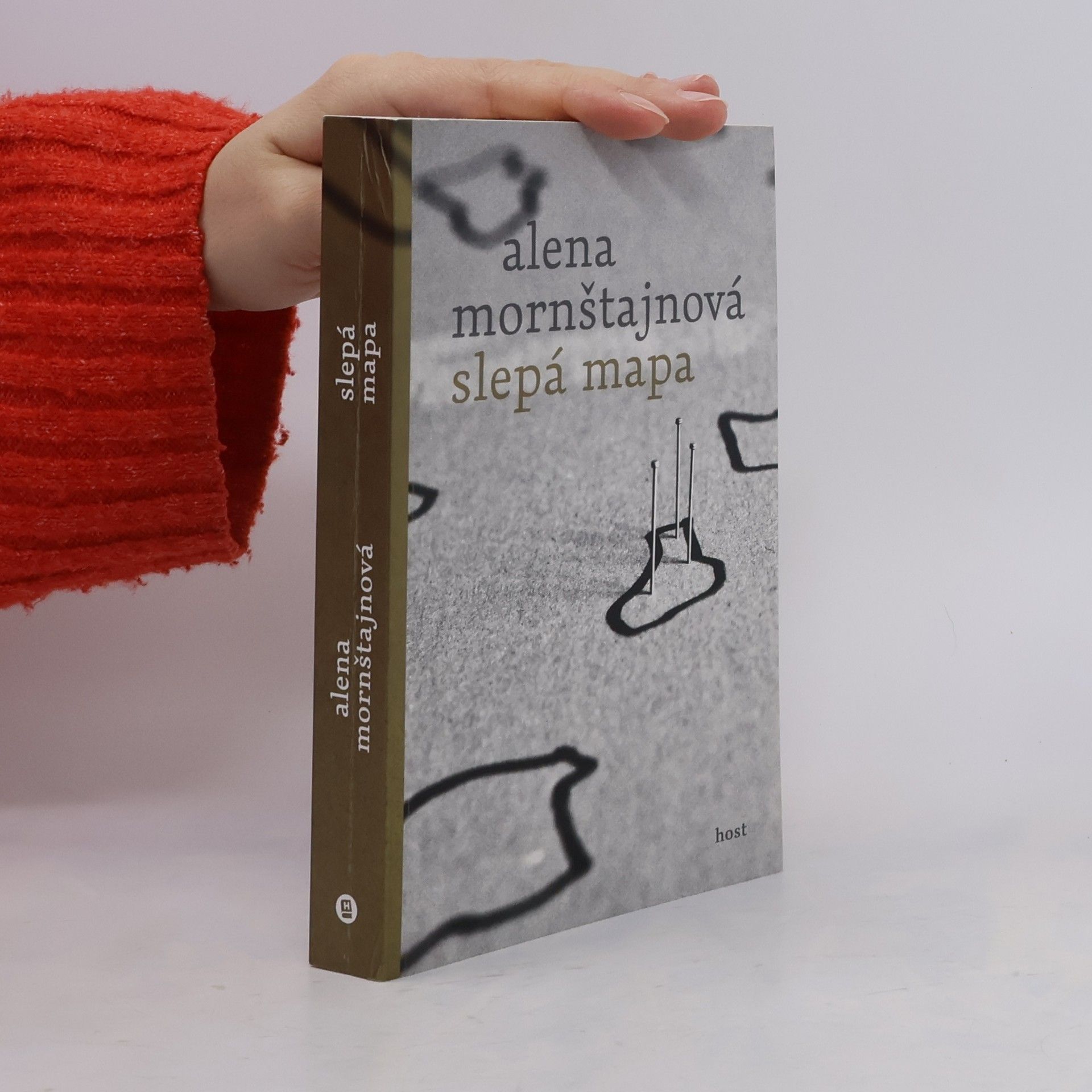 Alena Mornštajnová Slepá mapa