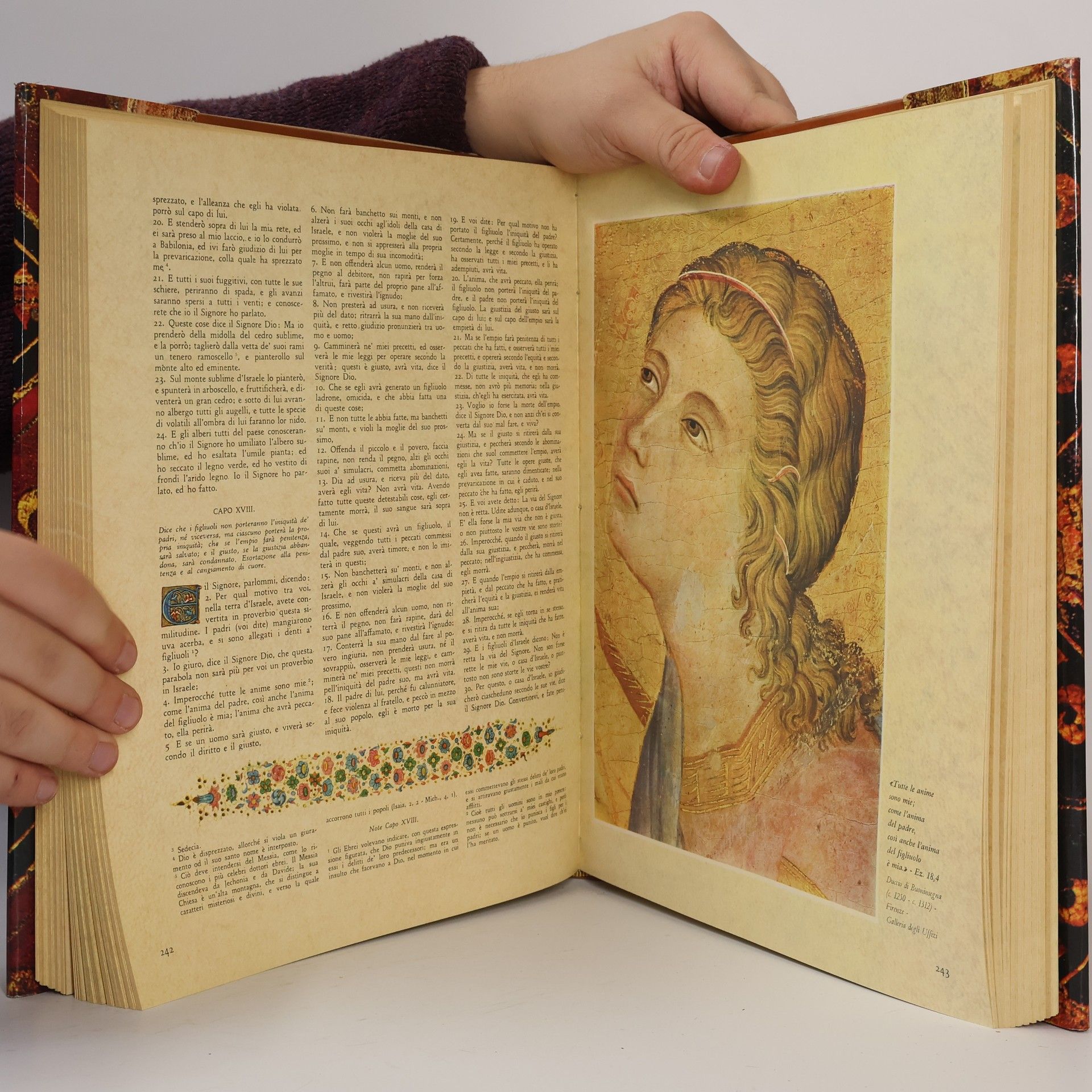 Auteurscollectief La Sacra Bibbia