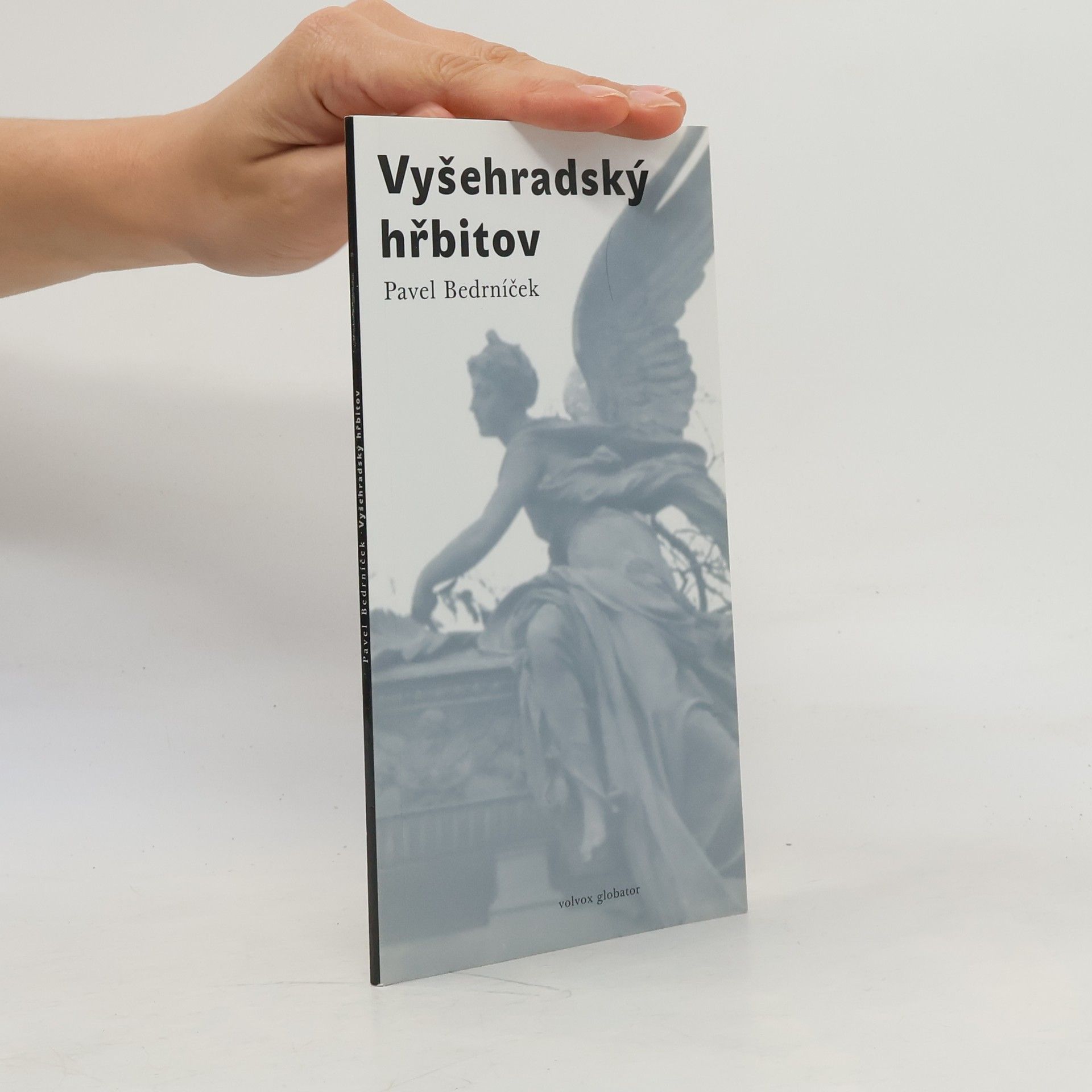 Pavel Bedrníček Vyšehradský hřbitov