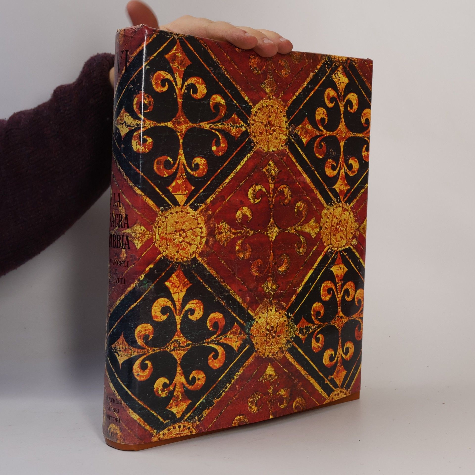 AA.VV. La Sacra Bibbia VI.